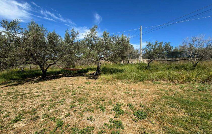 Terreno Agricolo in vendita a Balestrate