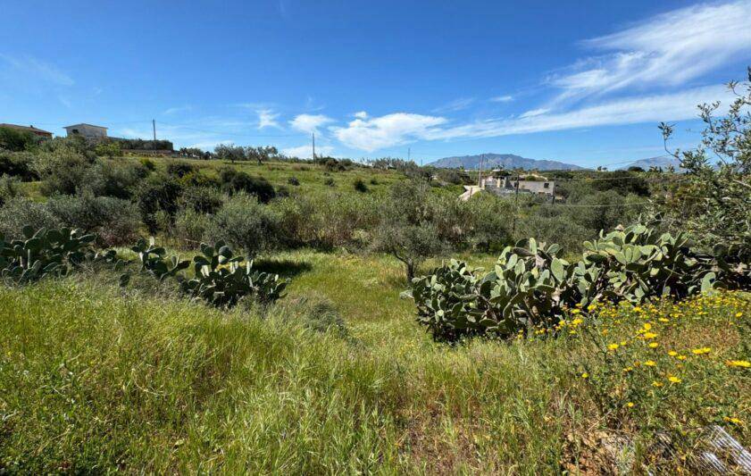 Terreno Agricolo in vendita a Balestrate