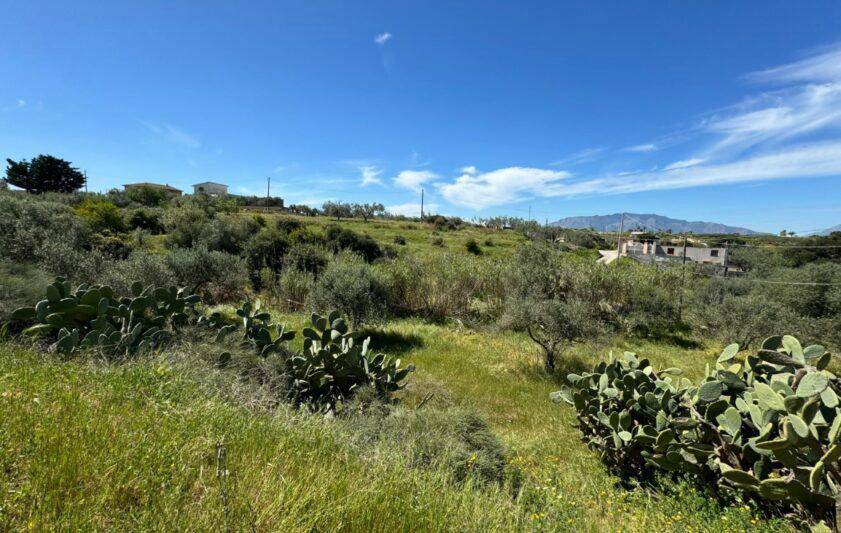 Terreno Agricolo in vendita a Balestrate