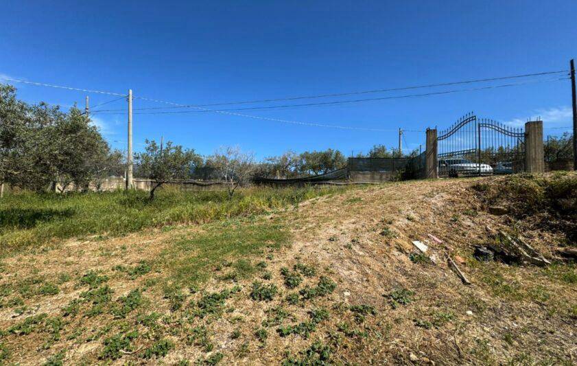 Terreno Agricolo in vendita a Balestrate