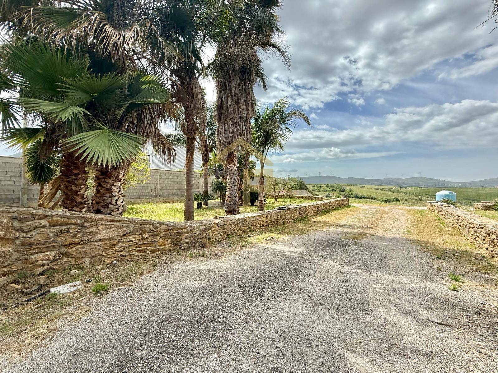 Terreno Agricolo in vendita a Partinico