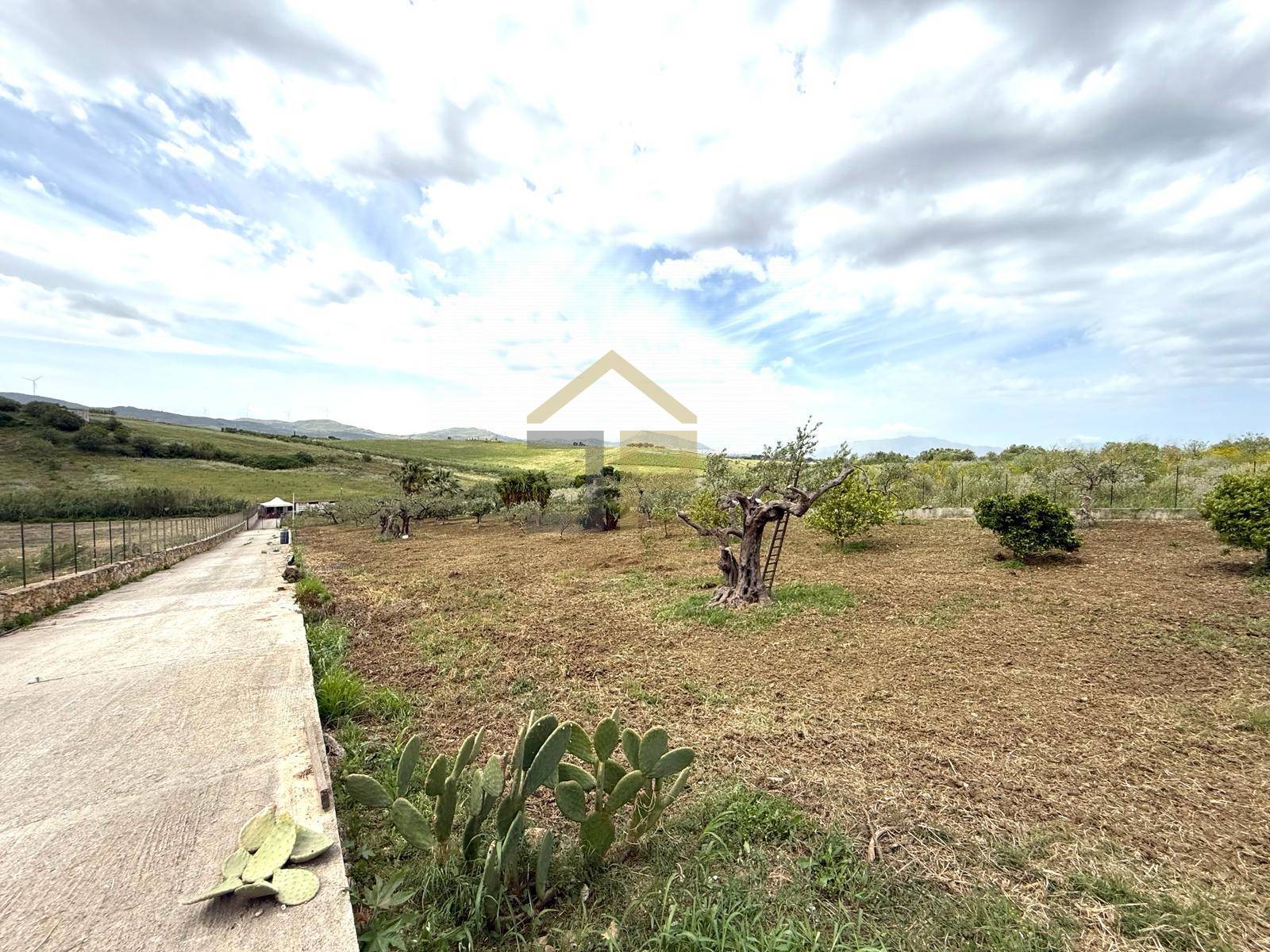 Terreno Agricolo in vendita a Partinico