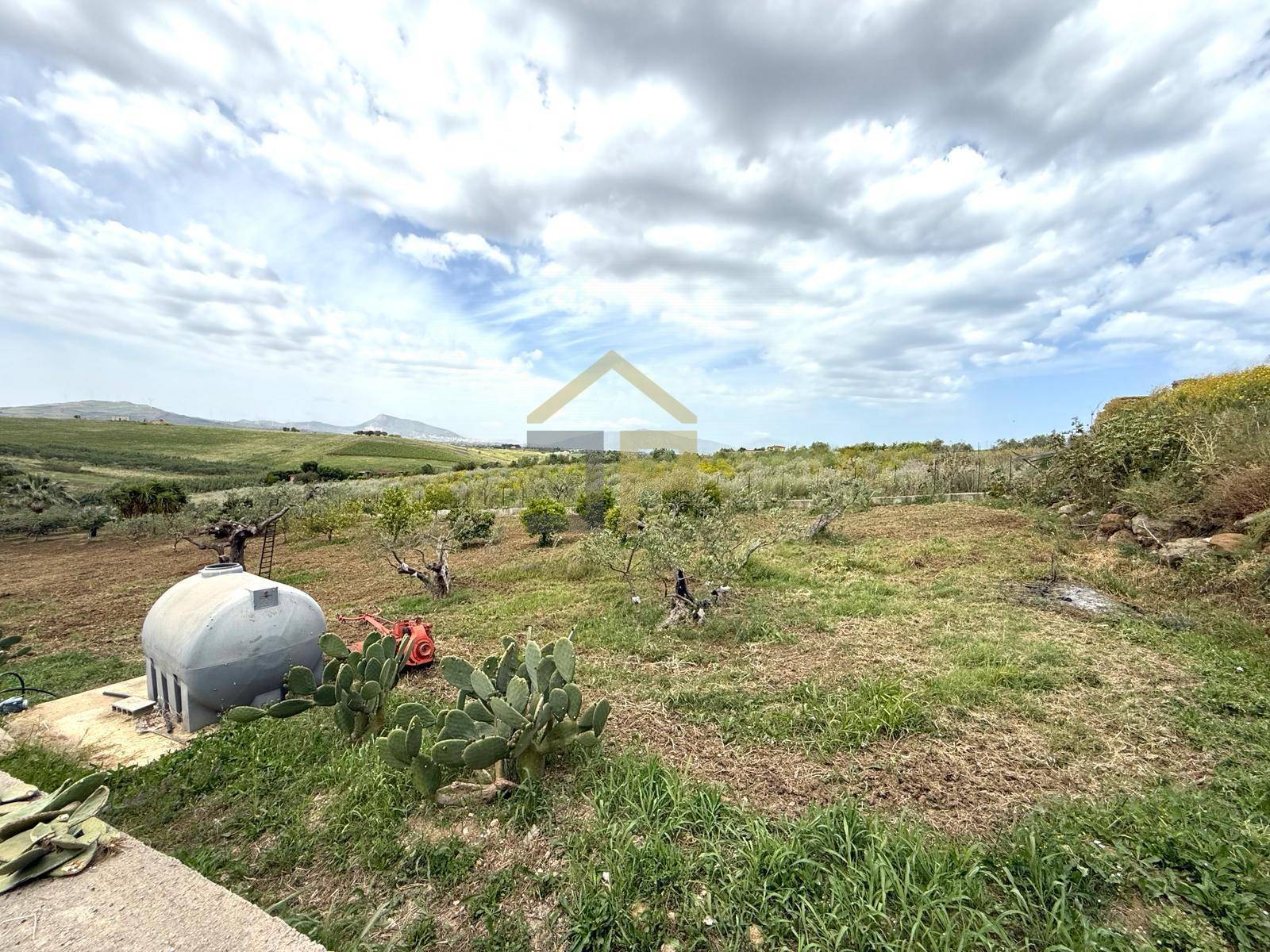 Terreno Agricolo in vendita a Partinico