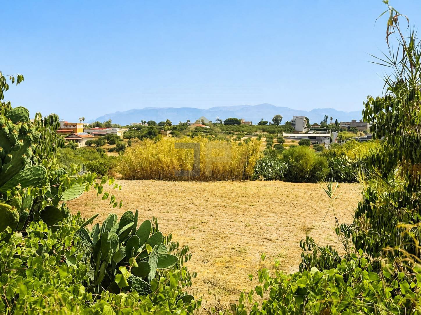 Terreno Agricolo in vendita a Balestrate
