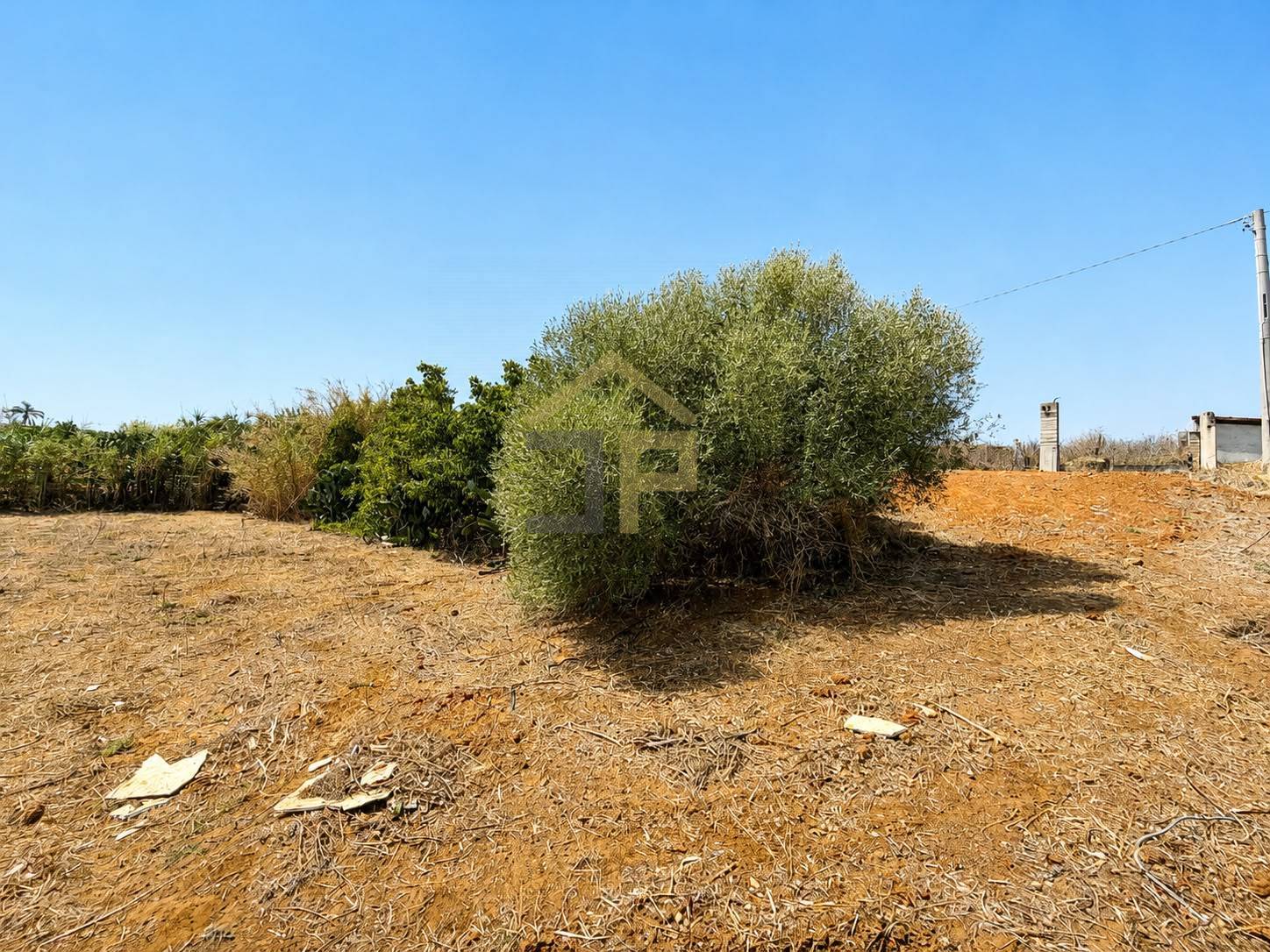 Terreno Agricolo in vendita a Balestrate