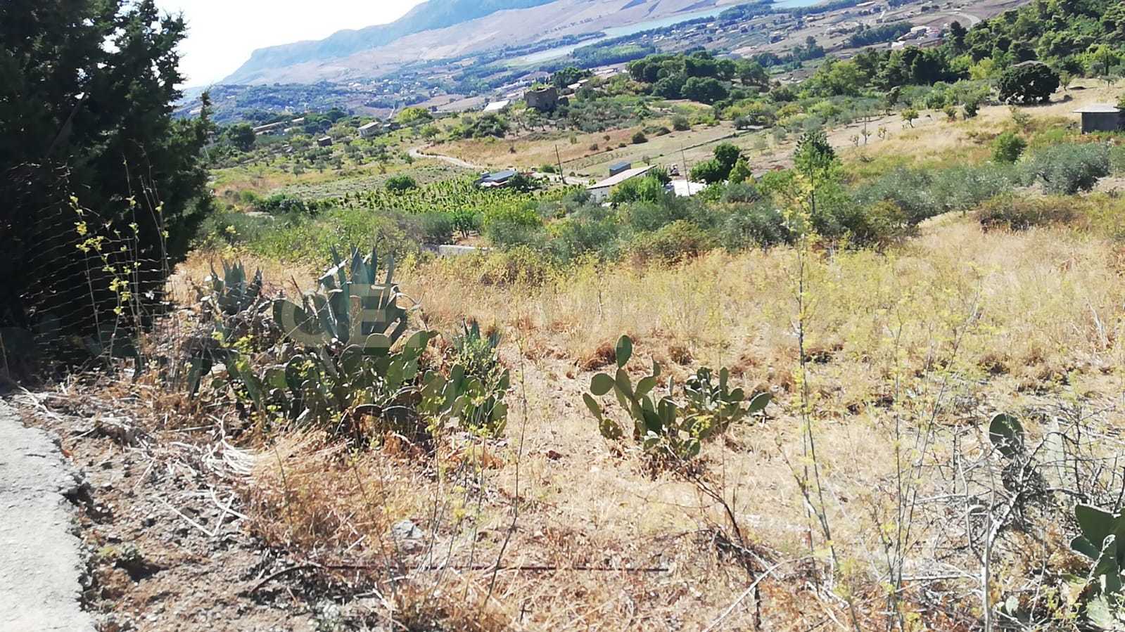 Terreno Agricolo in vendita in contrada saravulli san mercurio snc, Piana degli Albanesi