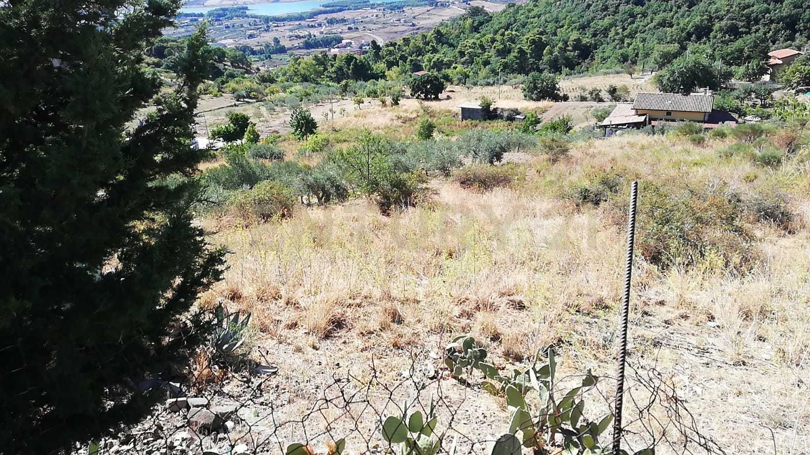 Terreno Agricolo in vendita in contrada saravulli san mercurio snc, Piana degli Albanesi