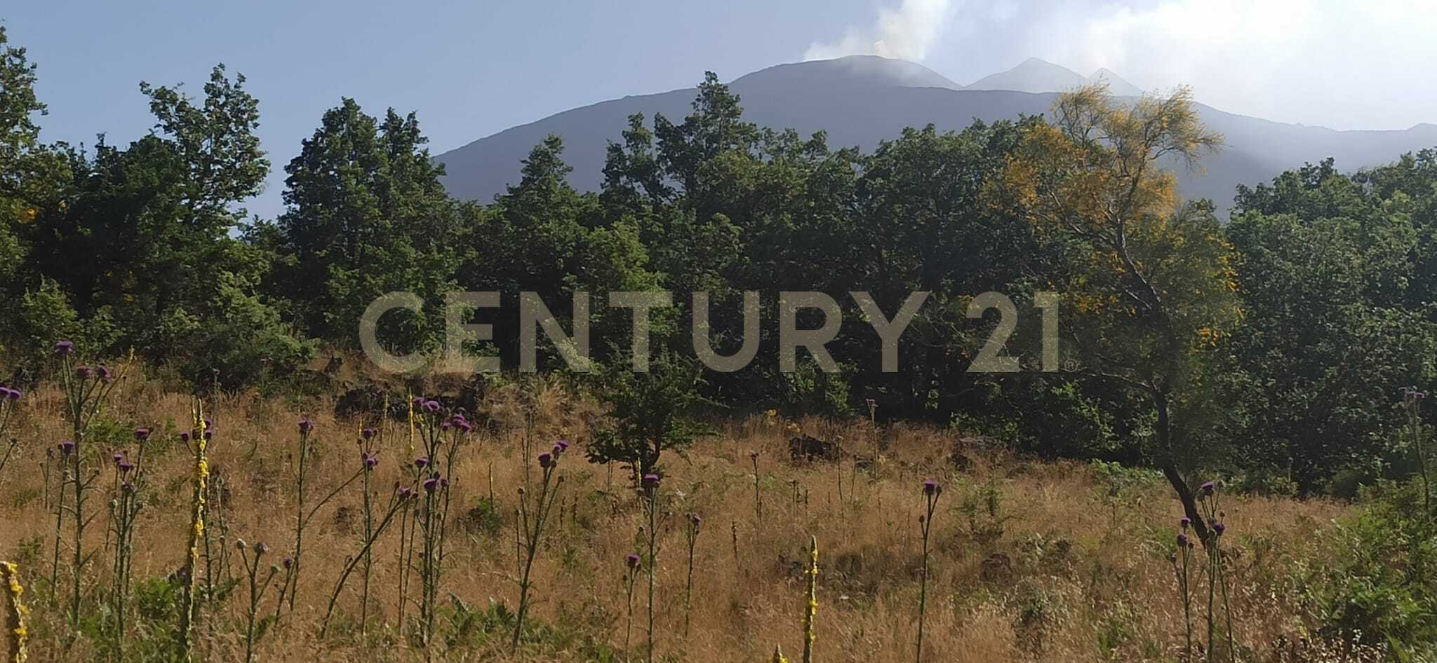 Terreno Agricolo in vendita in c.da filiciusa, Biancavilla