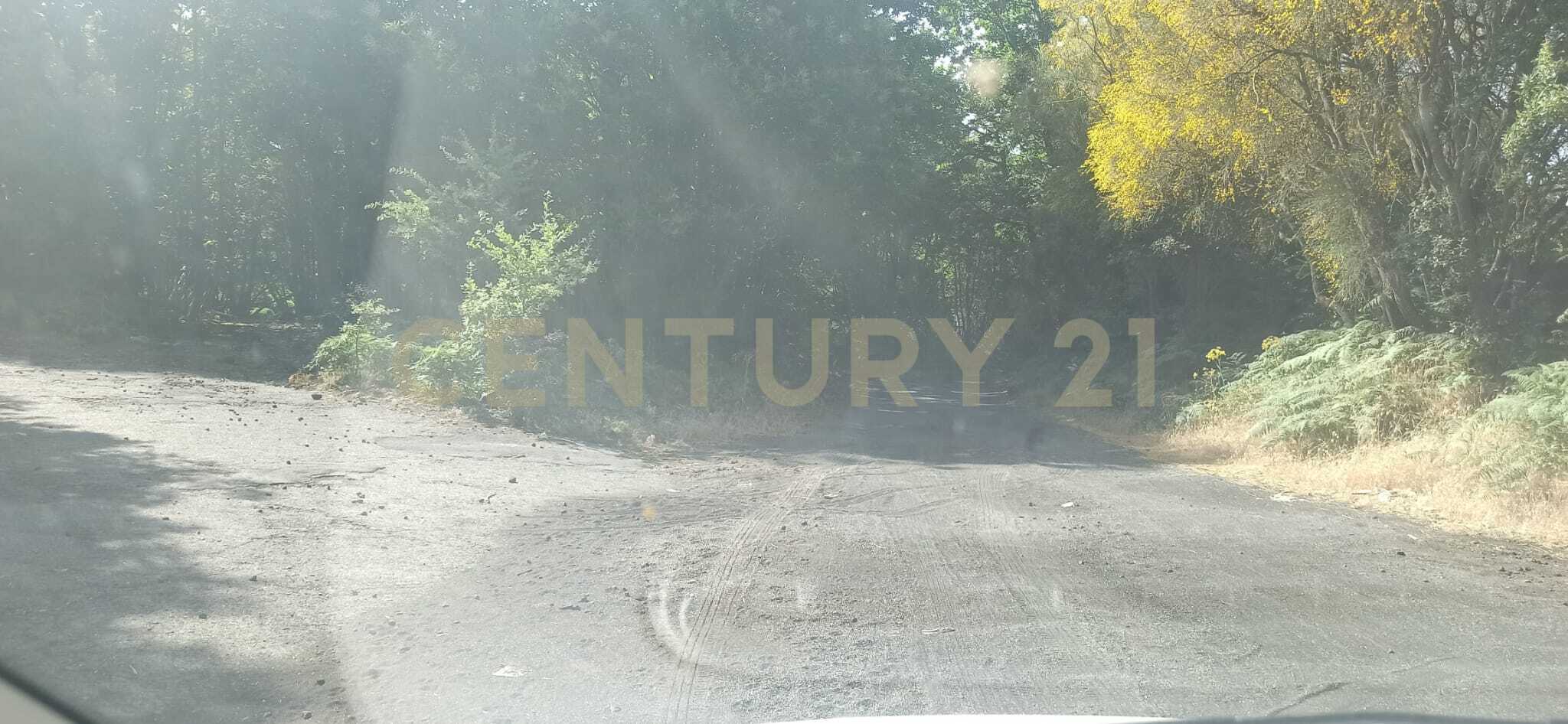 Terreno Agricolo in vendita in c.da filiciusa, Biancavilla