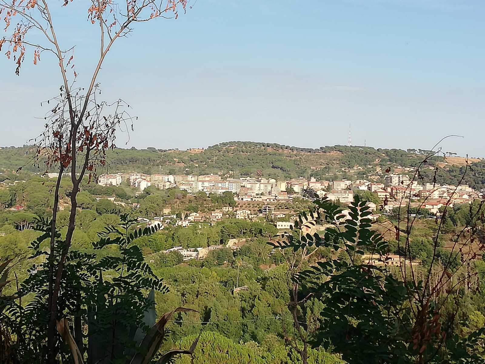 Terreno Agricolo in vendita in contrada piano cannata balatazza, Piazza Armerina