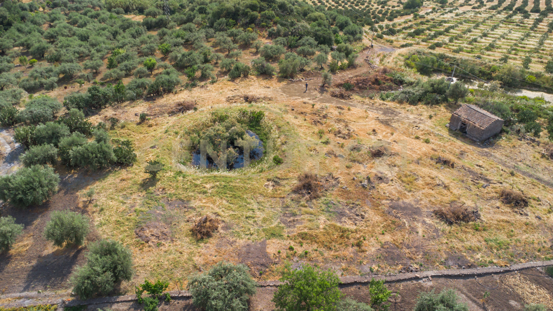 Terreno Agricolo in vendita in via san leo, Adrano