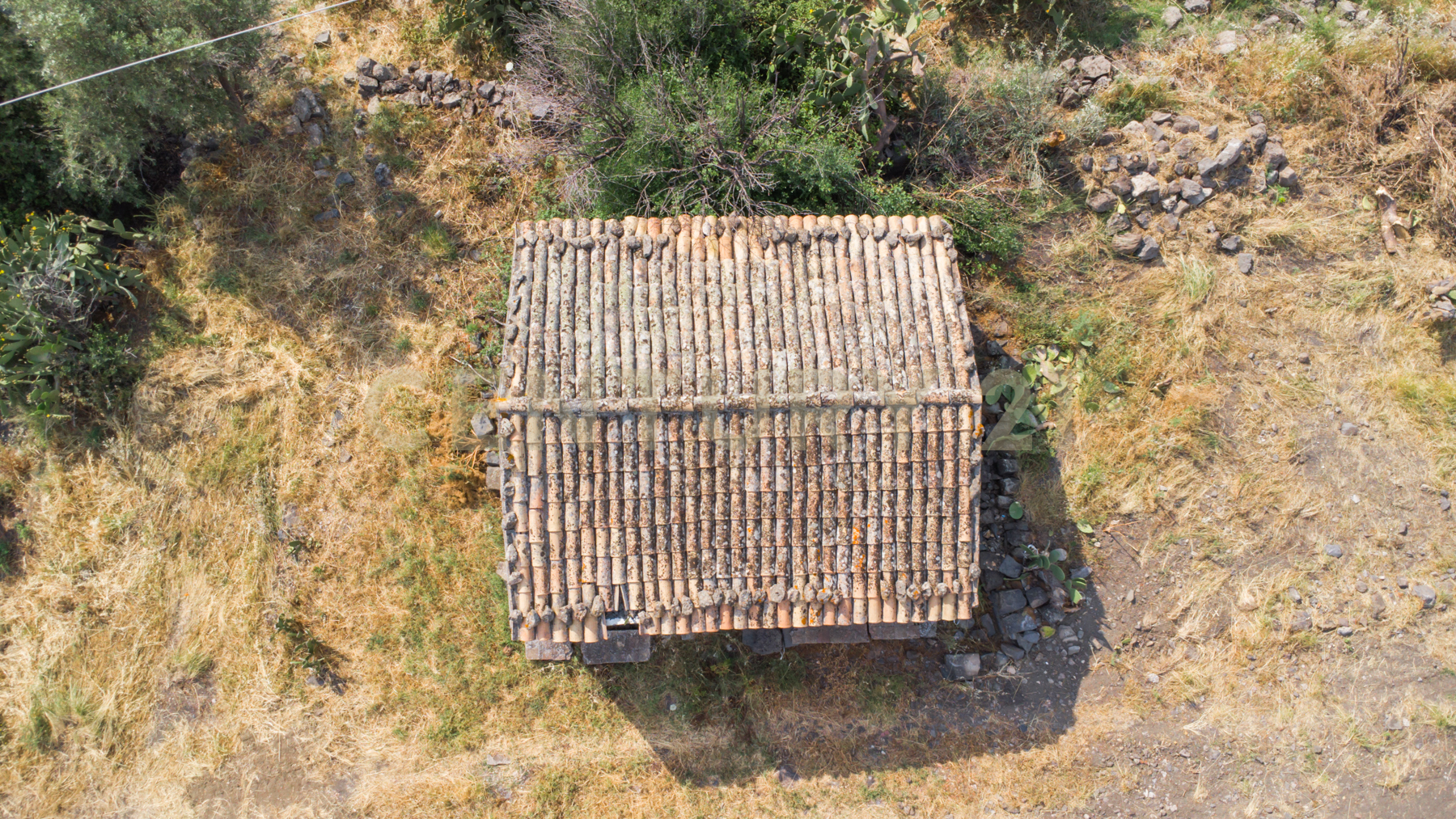 Terreno Agricolo in vendita in via san leo, Adrano