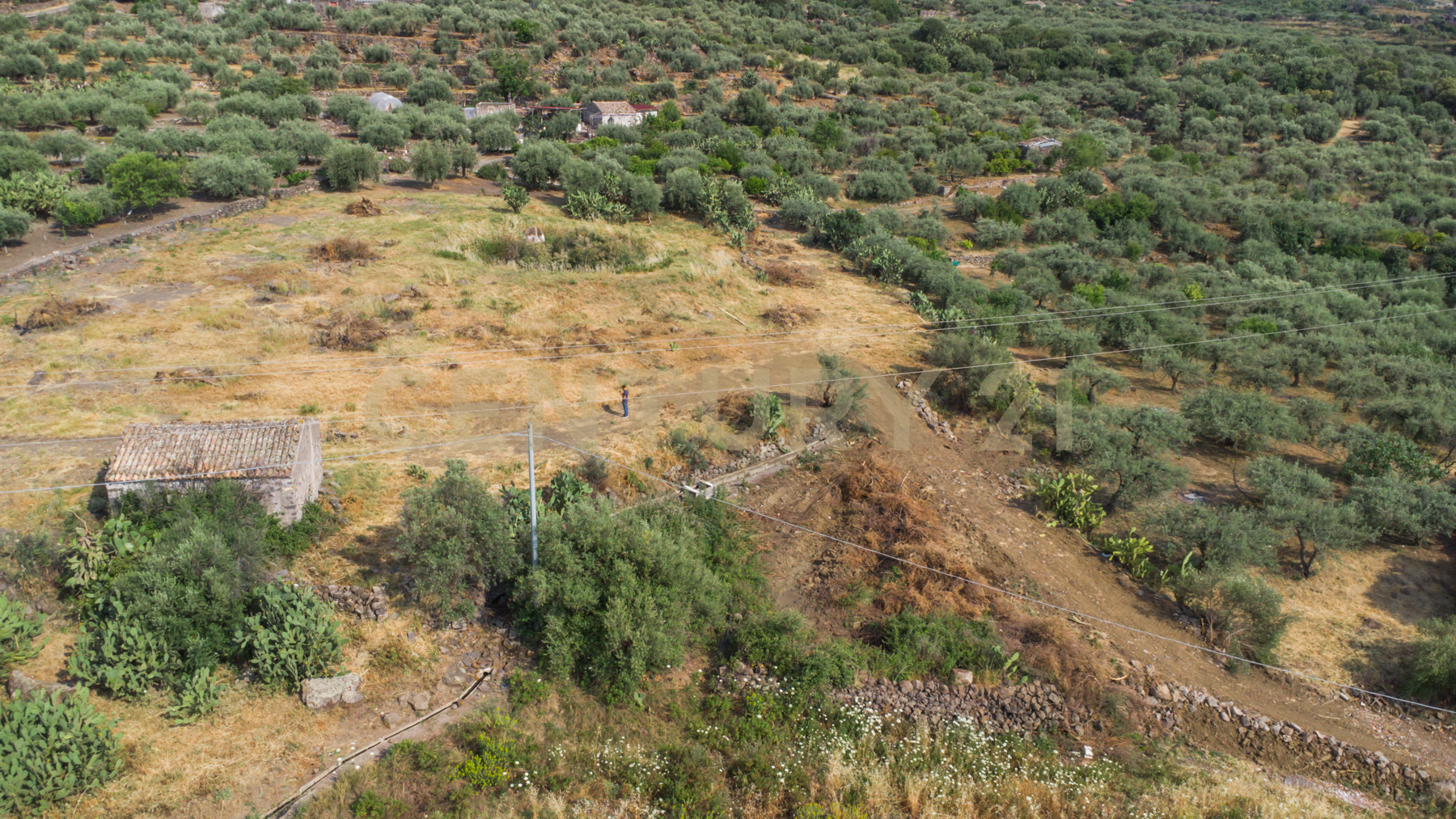 Terreno Agricolo in vendita in via san leo, Adrano