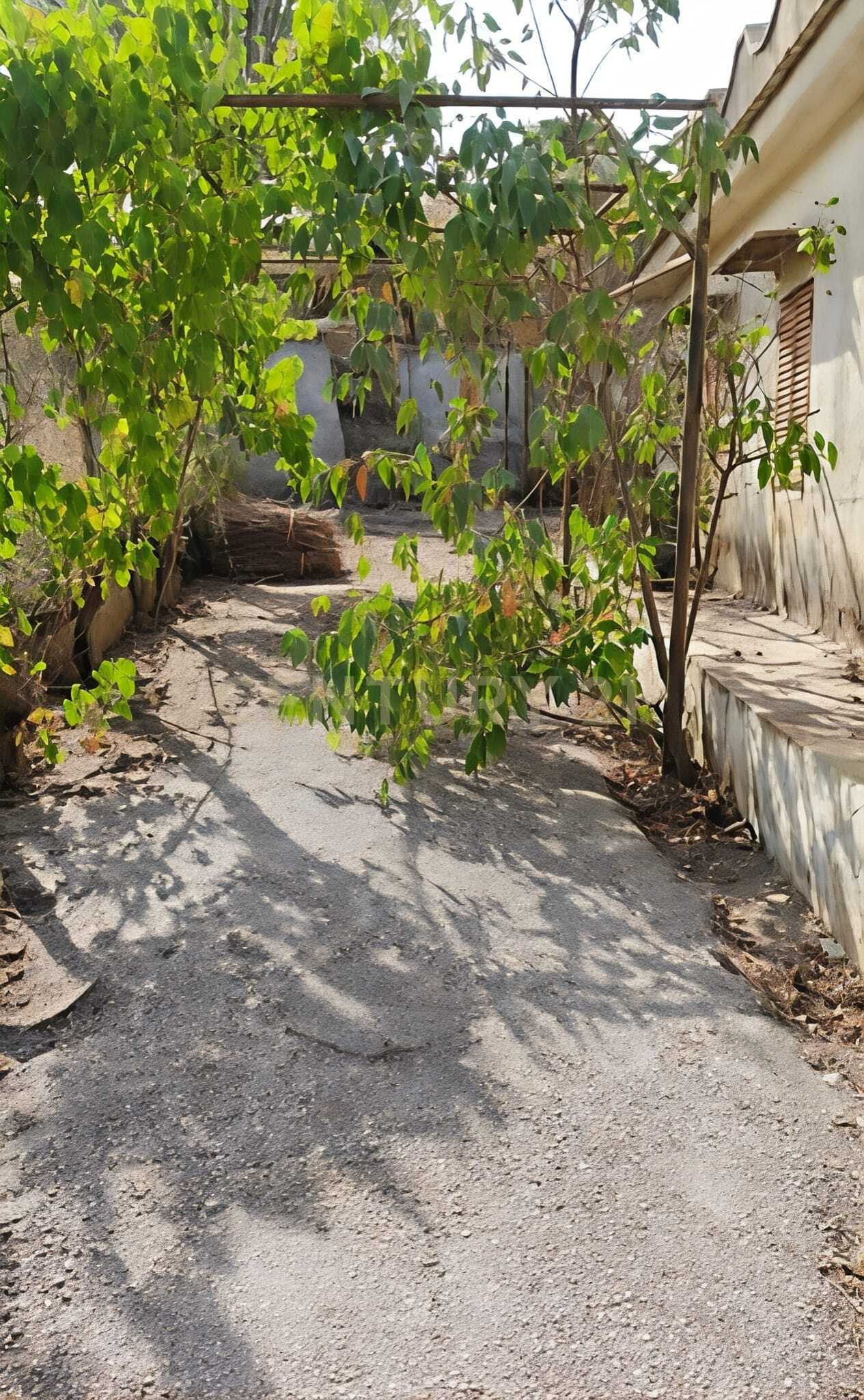 Villa con giardino in via filippa miccich� snc, Santa Cristina Gela