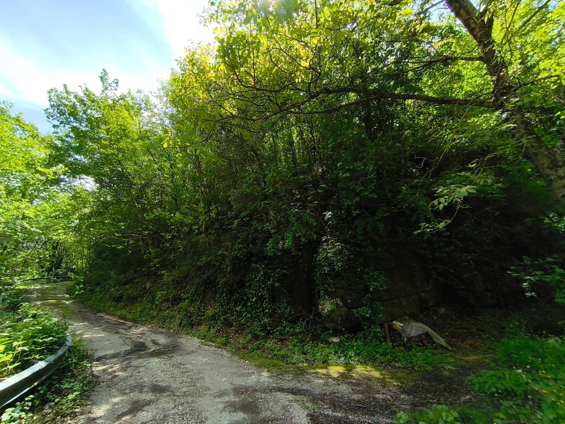 Terreno Agricolo in vendita a Acquasanta Terme