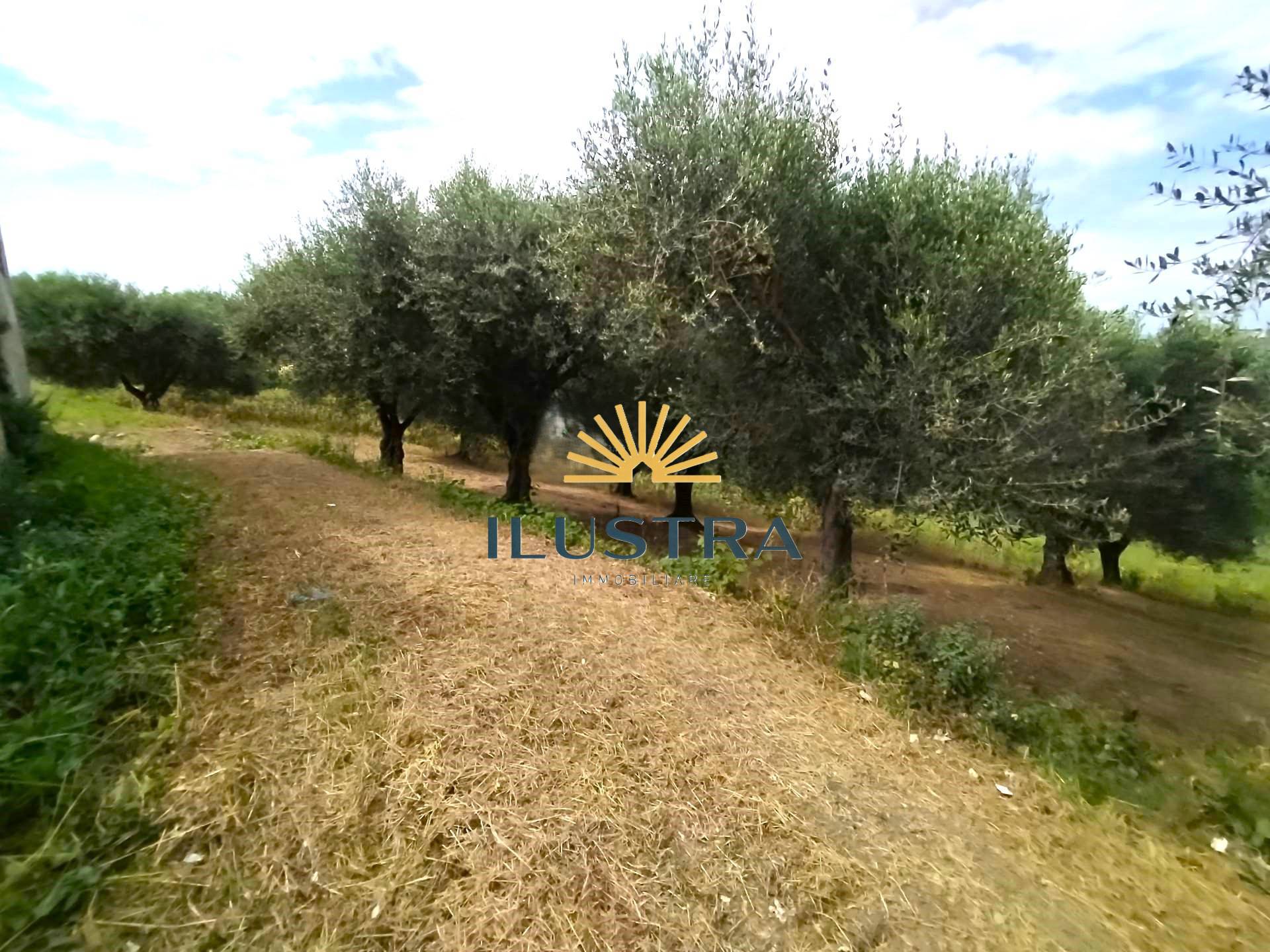 Rustico in vendita a Monteprandone