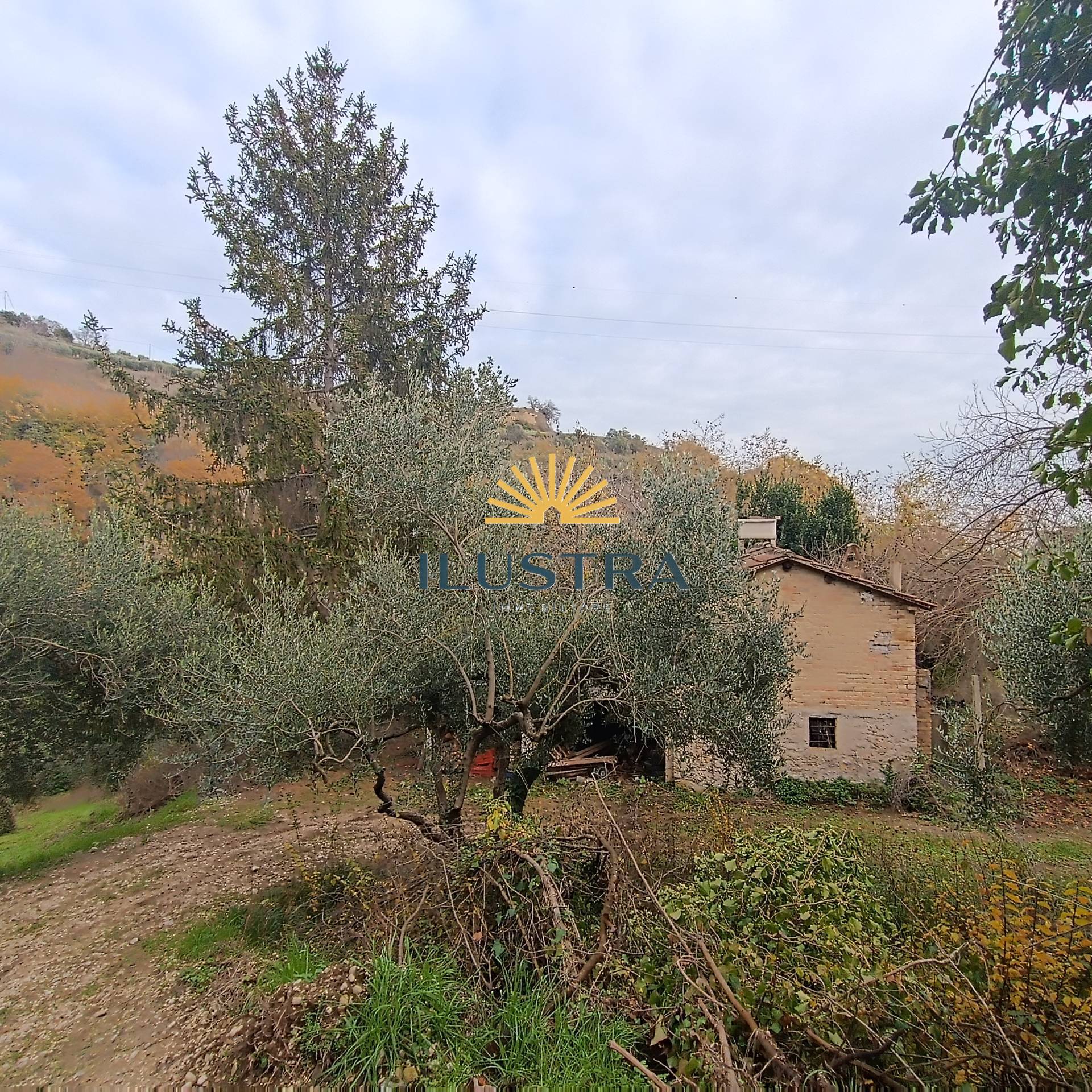 Rustico in vendita a Massignano