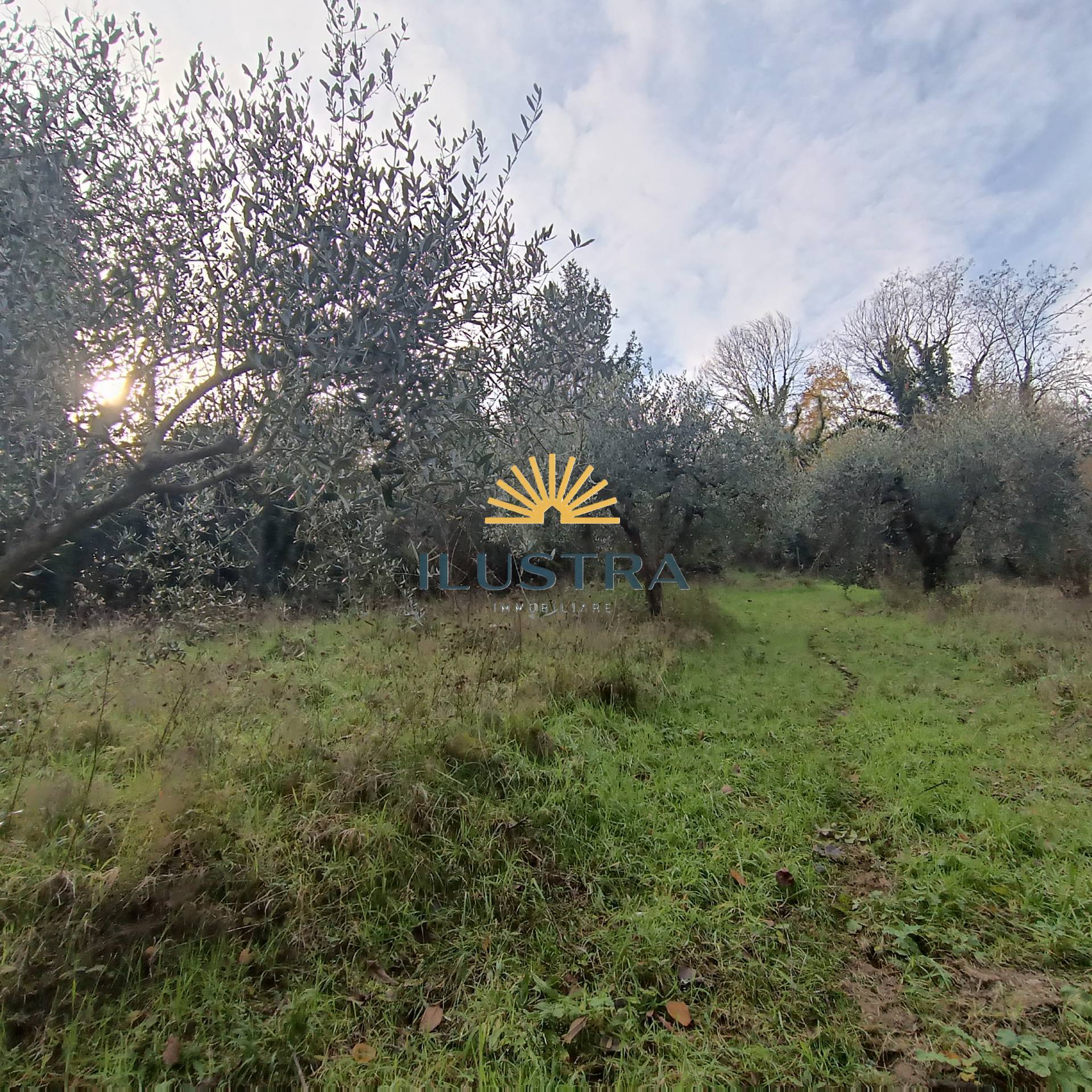 Rustico in vendita a Massignano