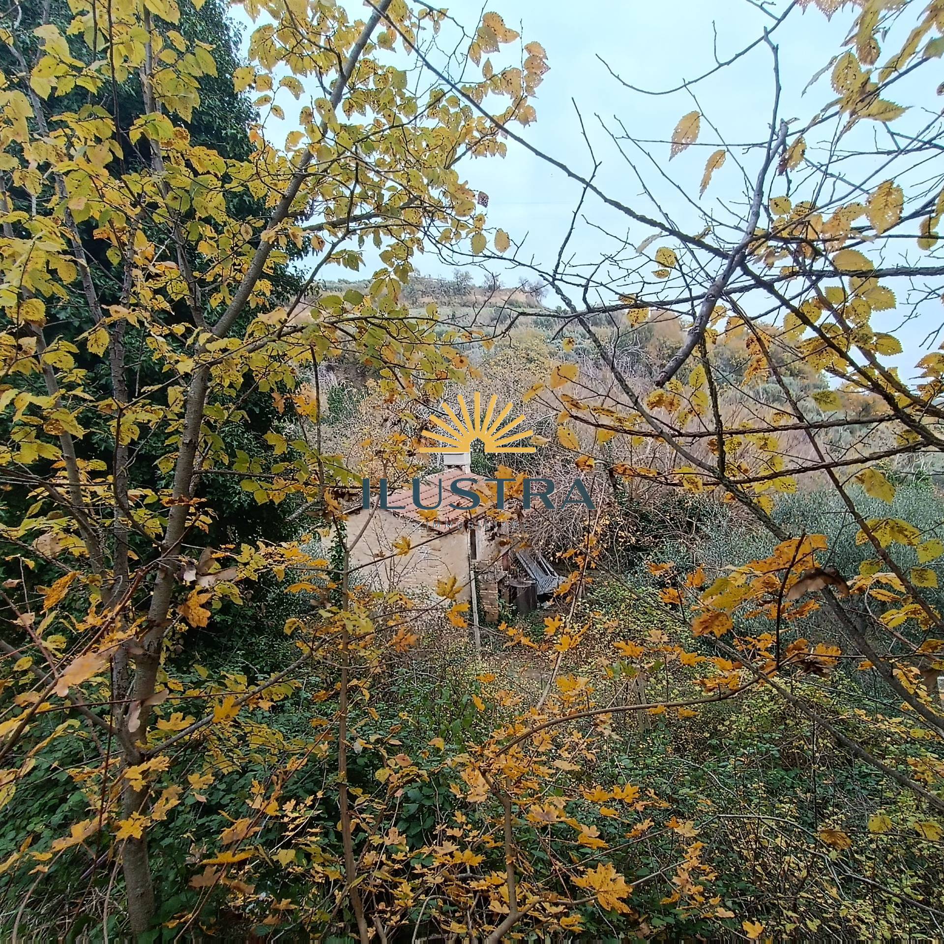 Rustico in vendita a Massignano