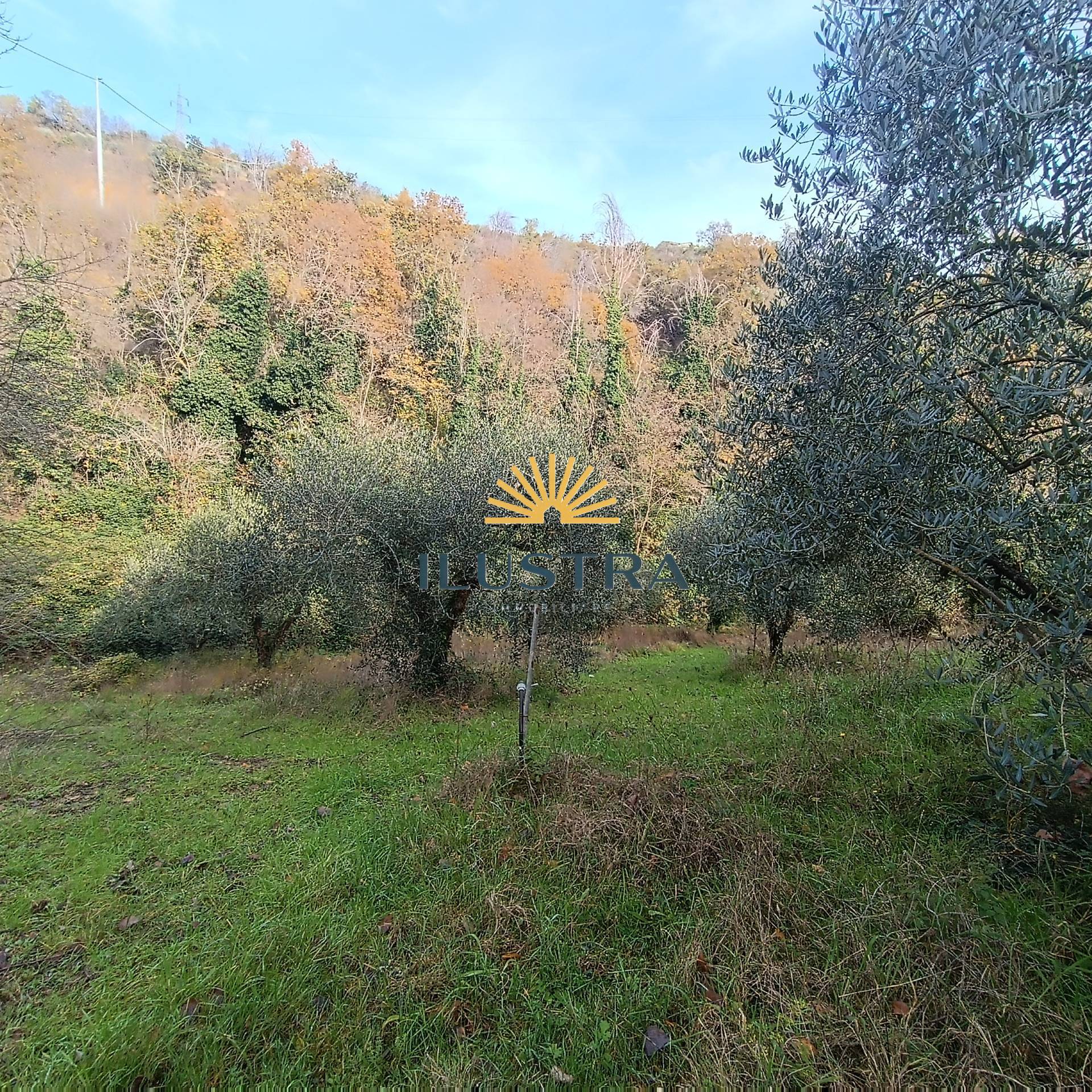Rustico in vendita a Massignano