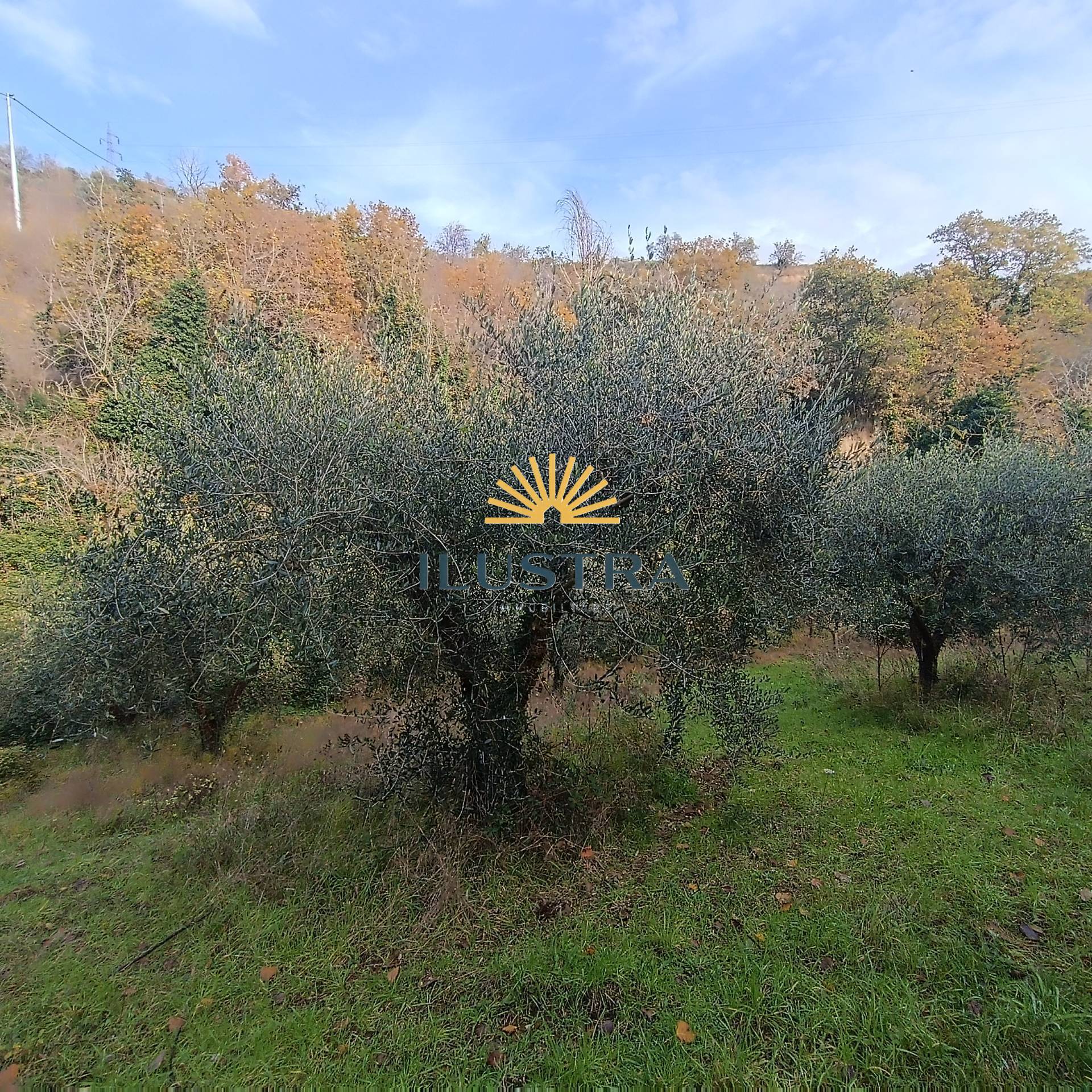 Rustico in vendita a Massignano