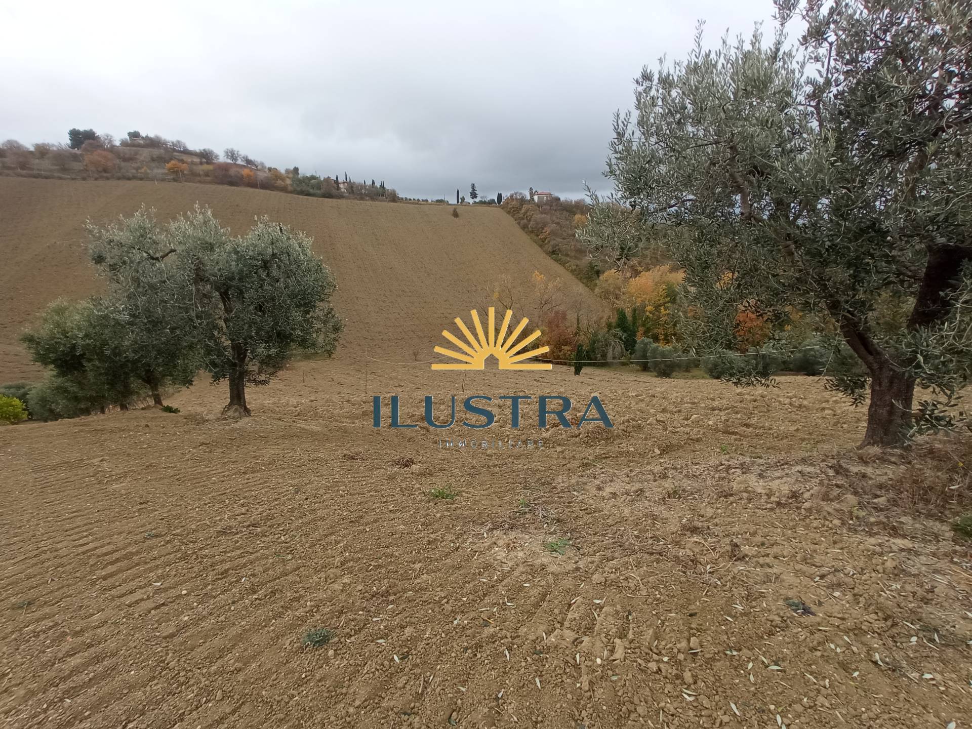 Rustico in vendita a Acquaviva Picena, Forola