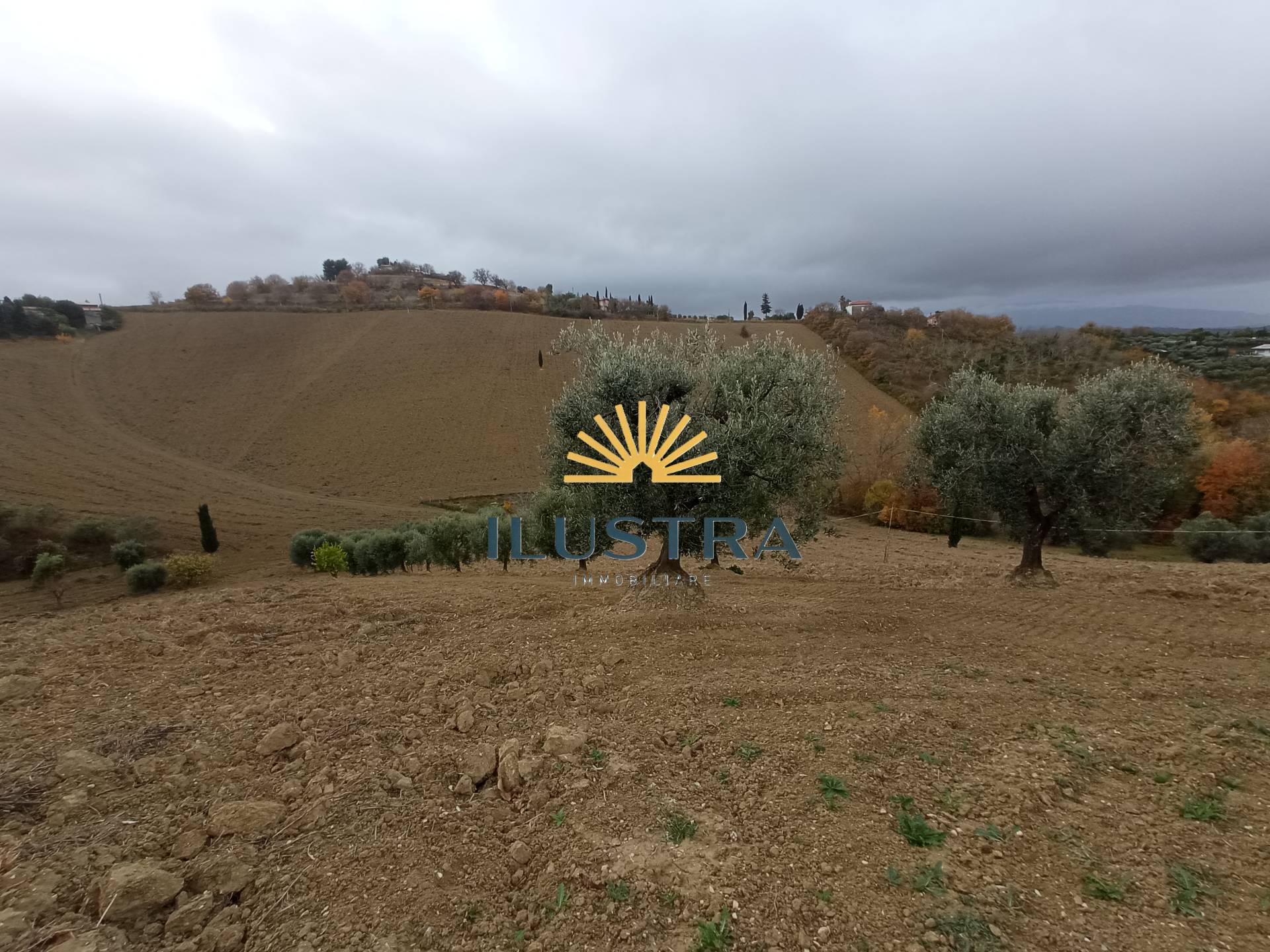 Rustico in vendita a Acquaviva Picena, Forola