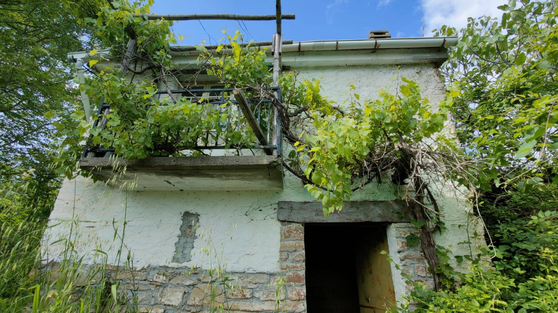 Terreno Agricolo in vendita a Prunetto