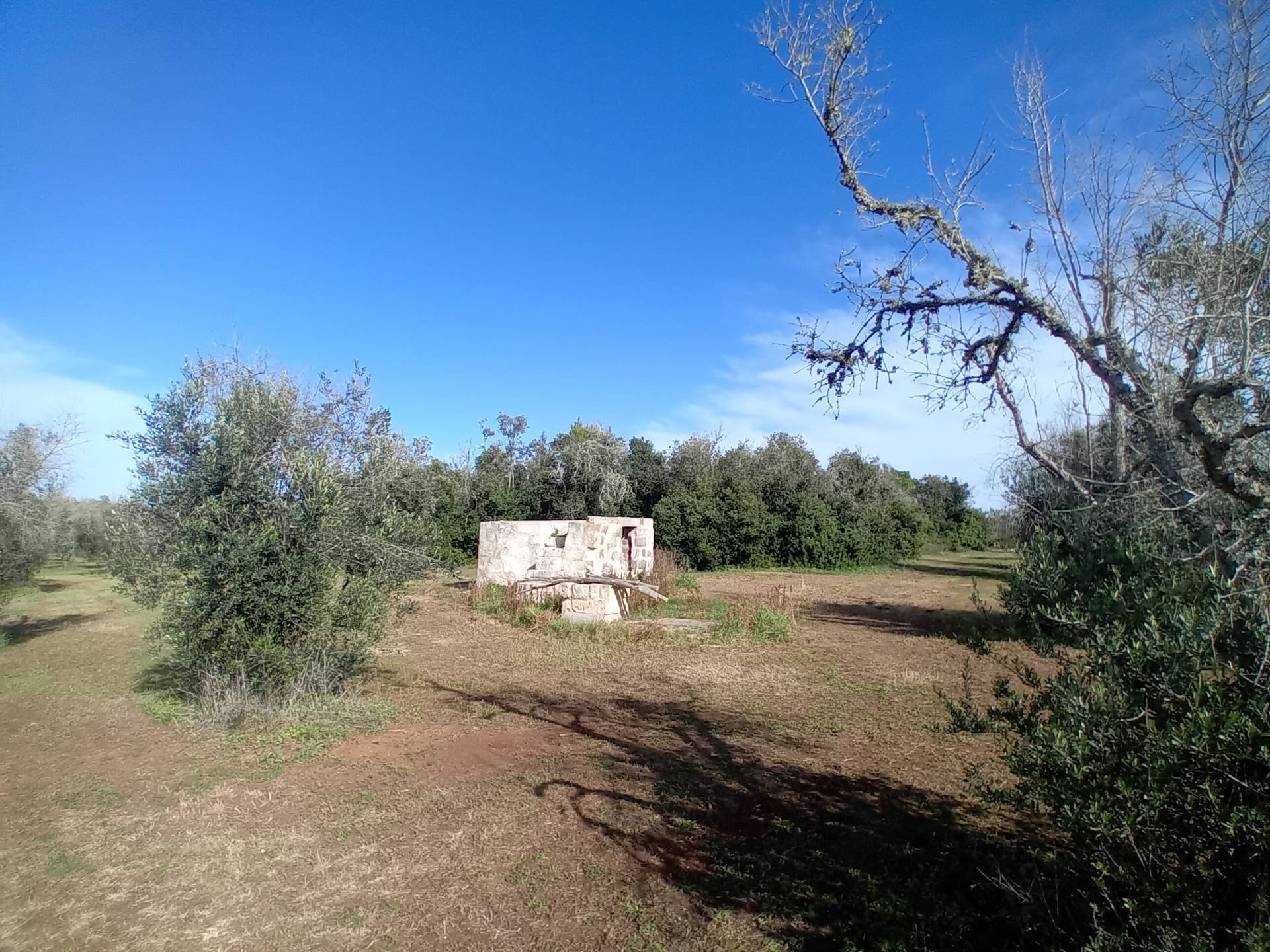 Terreno Agricolo in vendita a Ortelle