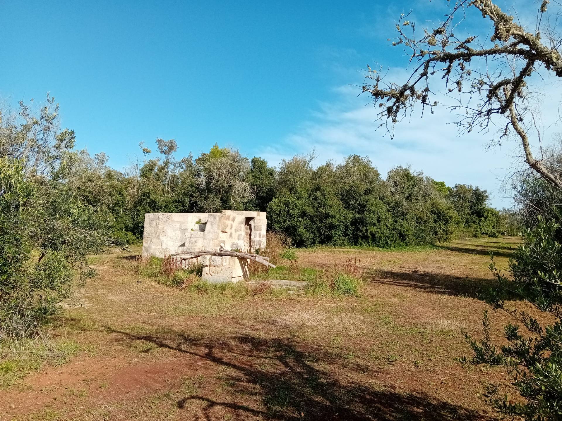 Terreno Agricolo in vendita a Ortelle