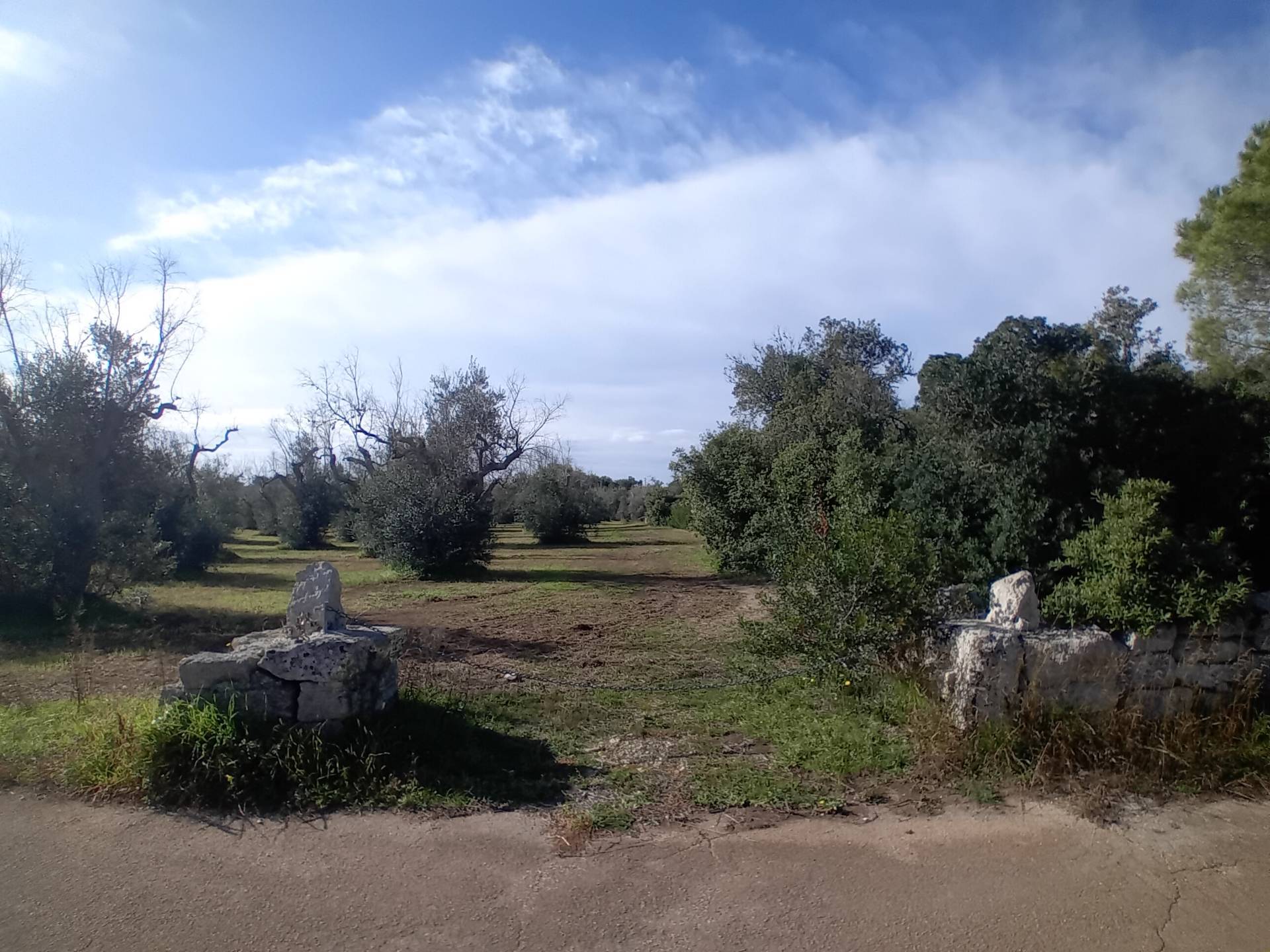 Terreno Agricolo in vendita a Ortelle