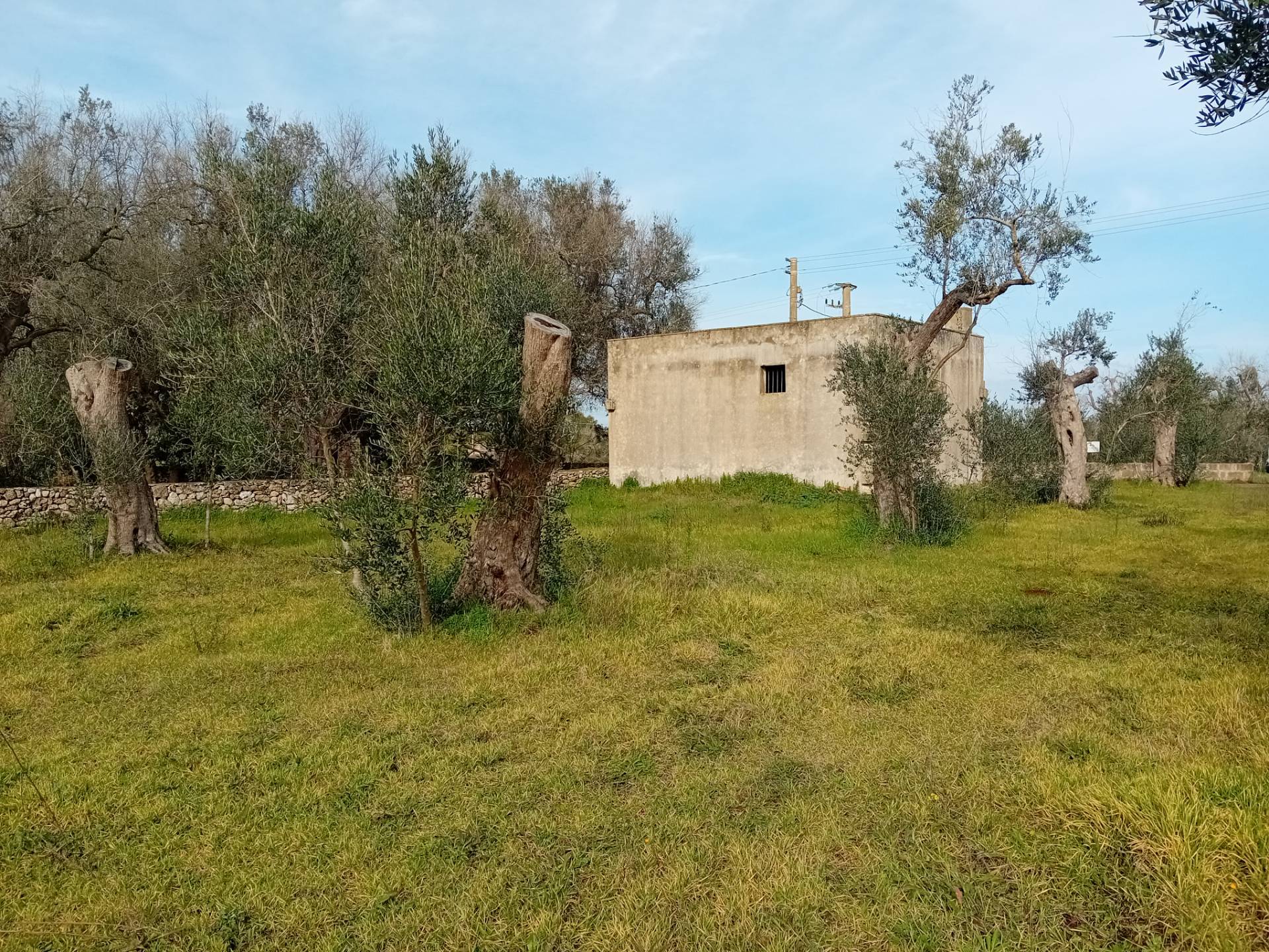 Terreno Agricolo in vendita a Giuggianello