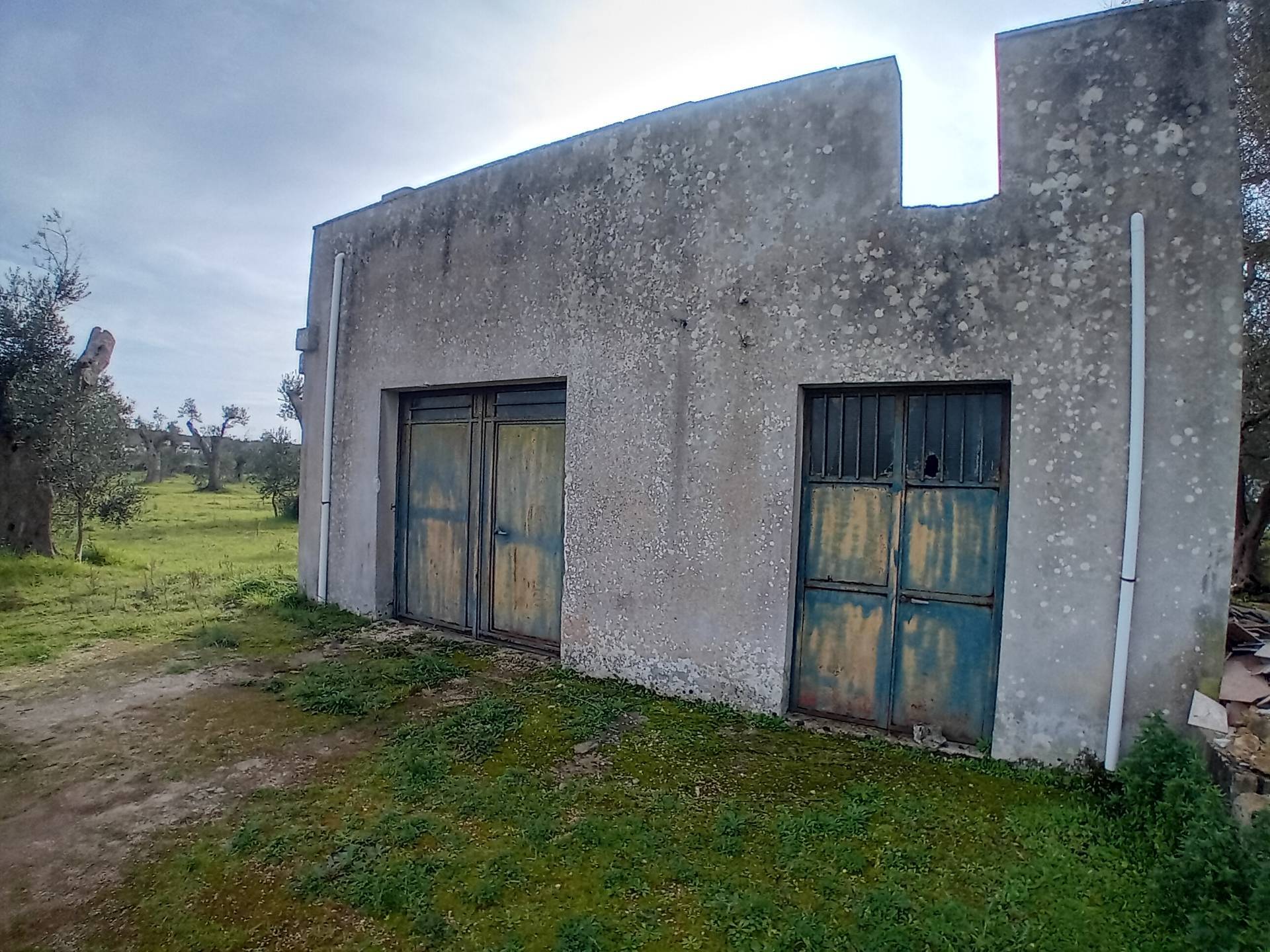 Terreno Agricolo in vendita a Giuggianello
