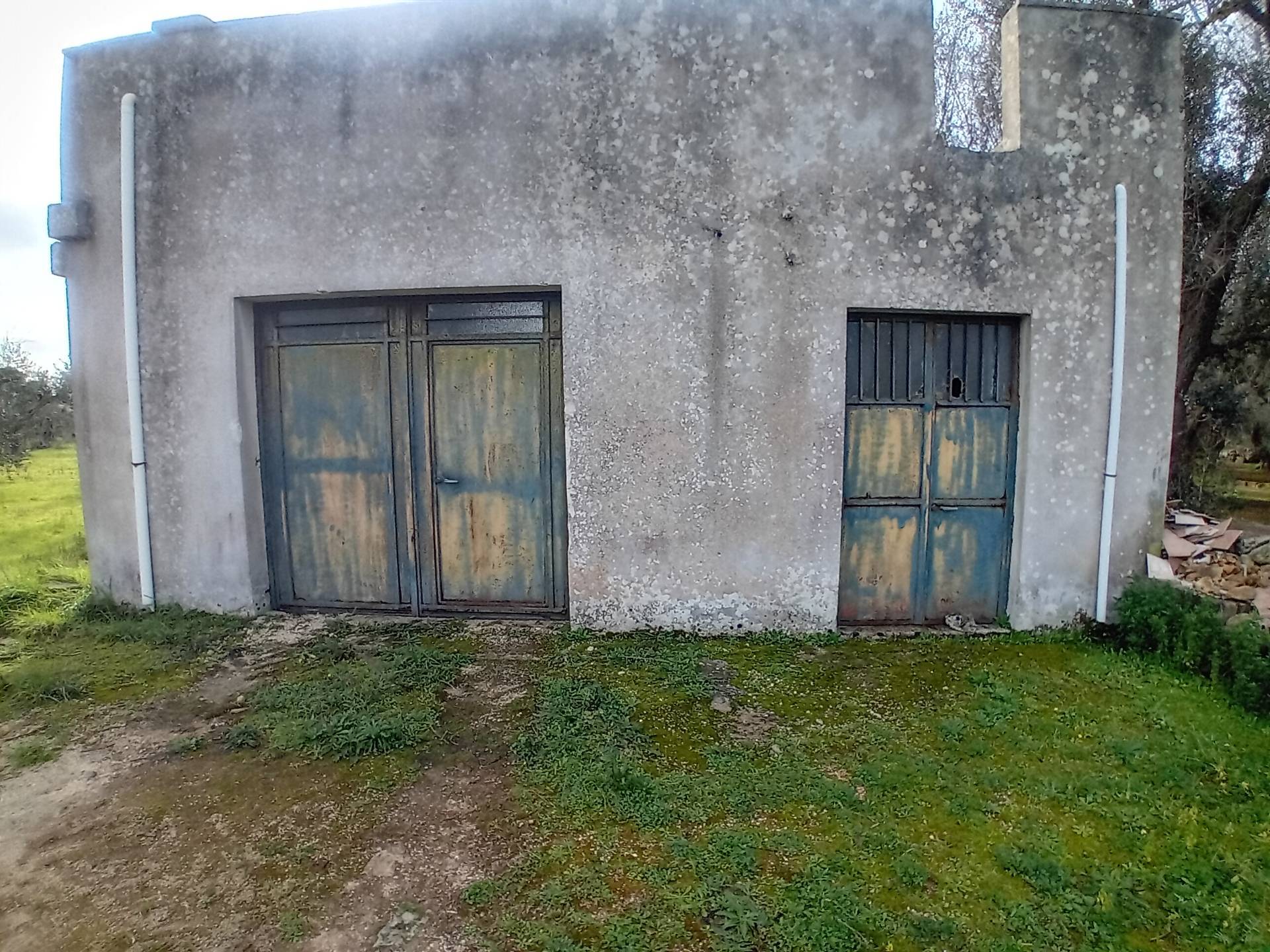 Terreno Agricolo in vendita a Giuggianello