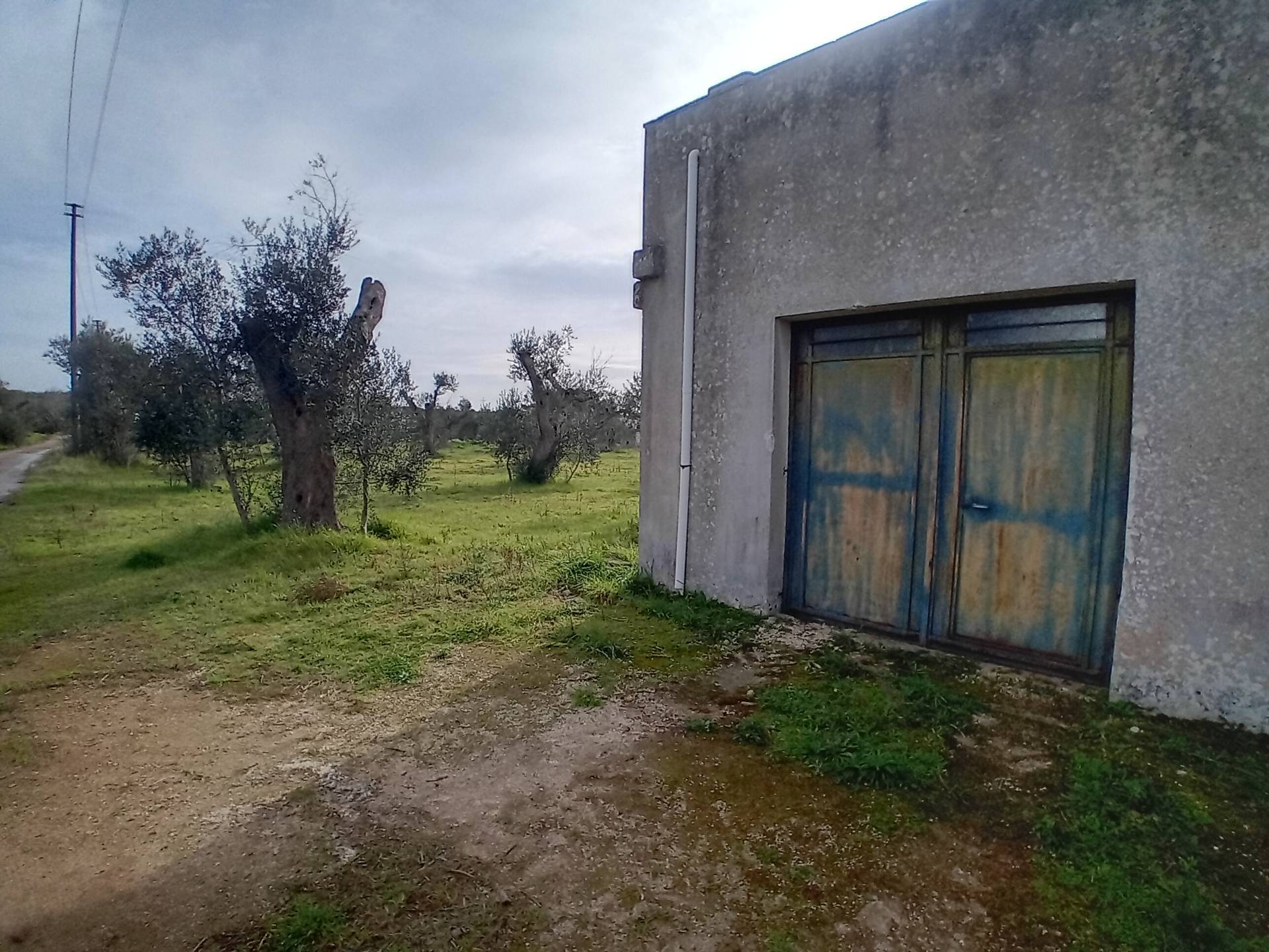 Terreno Agricolo in vendita a Giuggianello