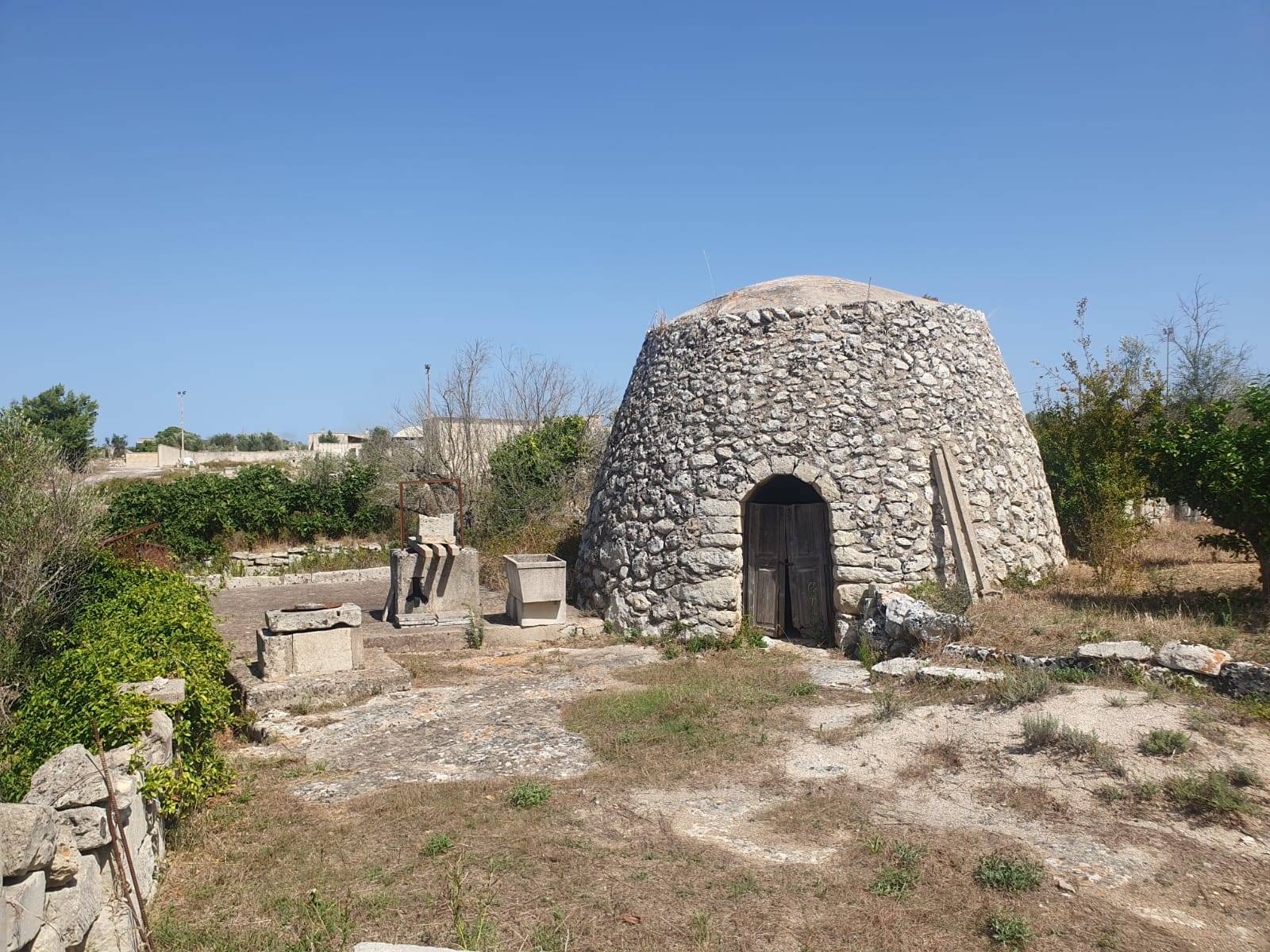 Terreno Agricolo in vendita a Zollino