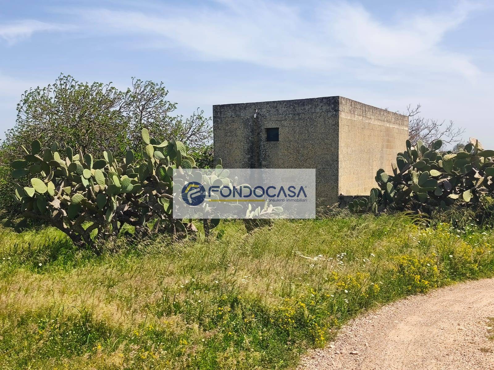 Terreno Agricolo in vendita a Zollino
