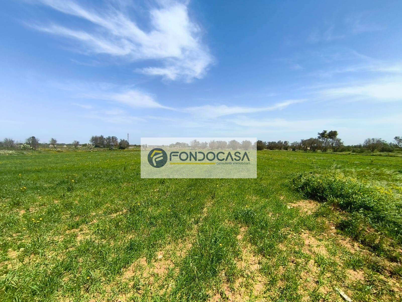 Terreno Agricolo in vendita a Zollino