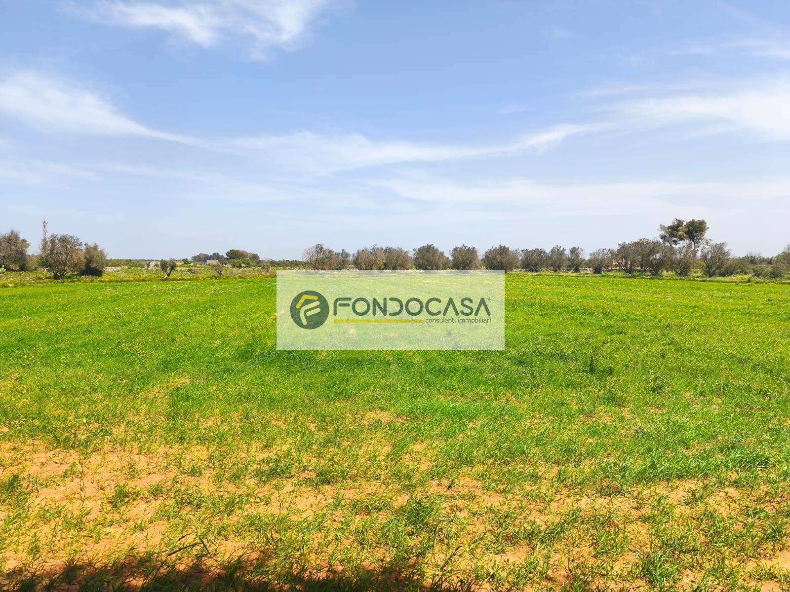 Terreno Agricolo in vendita a Zollino