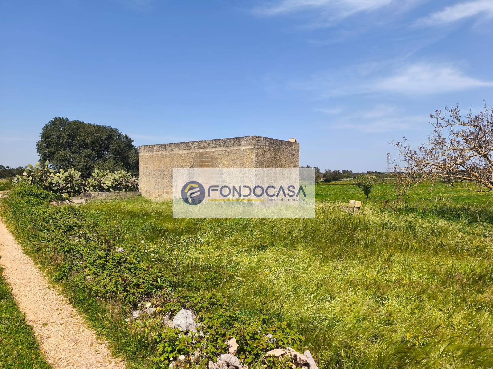 Terreno Agricolo in vendita a Zollino