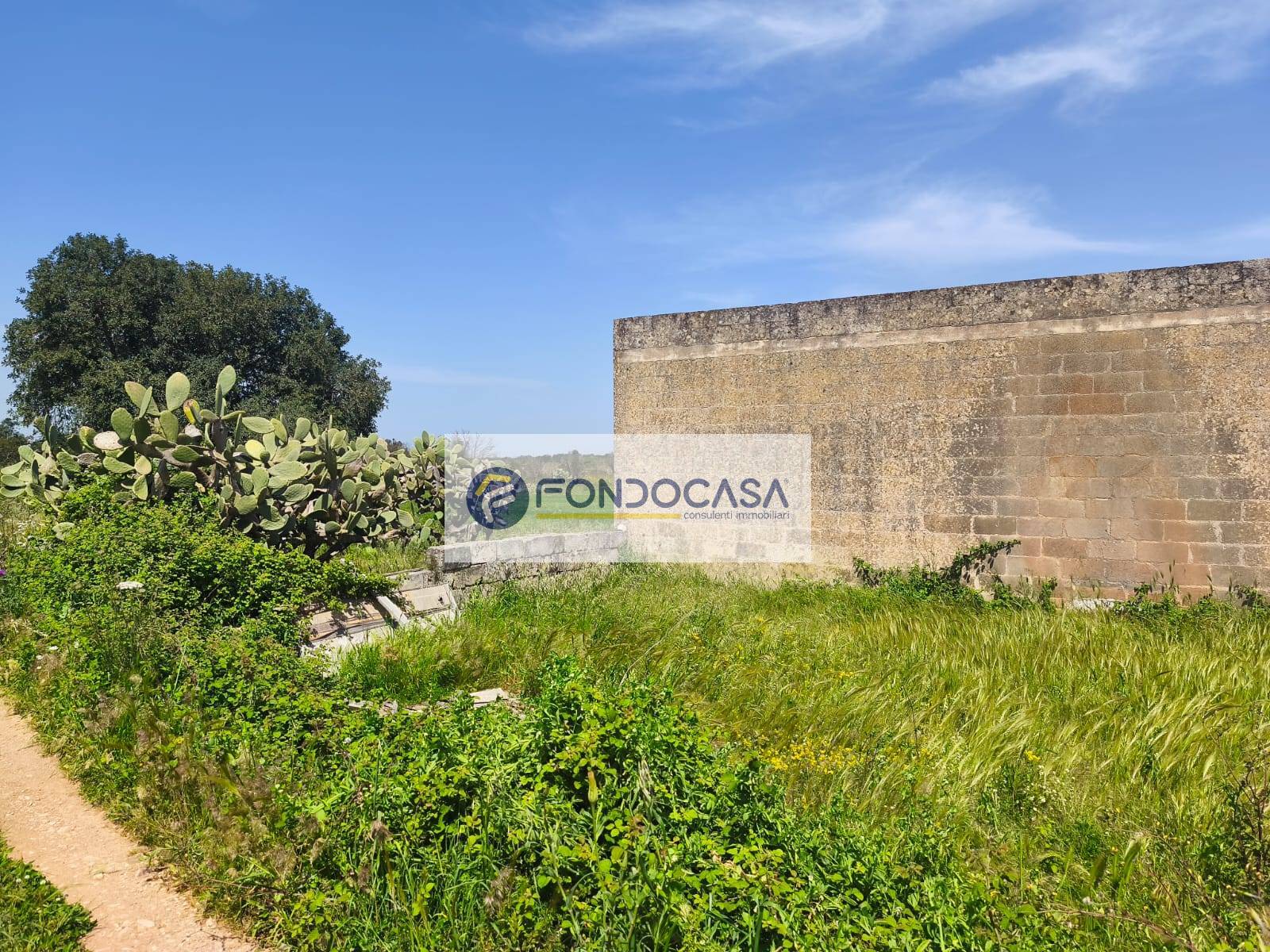 Terreno Agricolo in vendita a Zollino