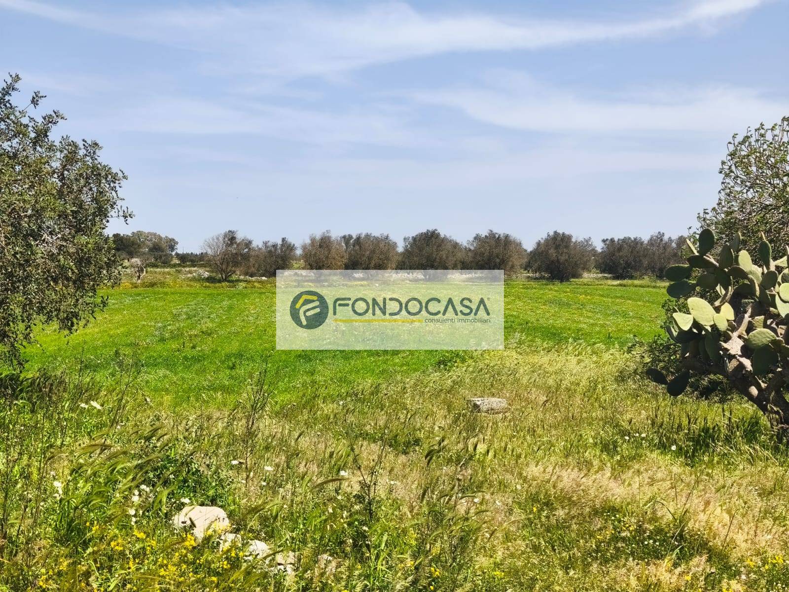 Terreno Agricolo in vendita a Zollino