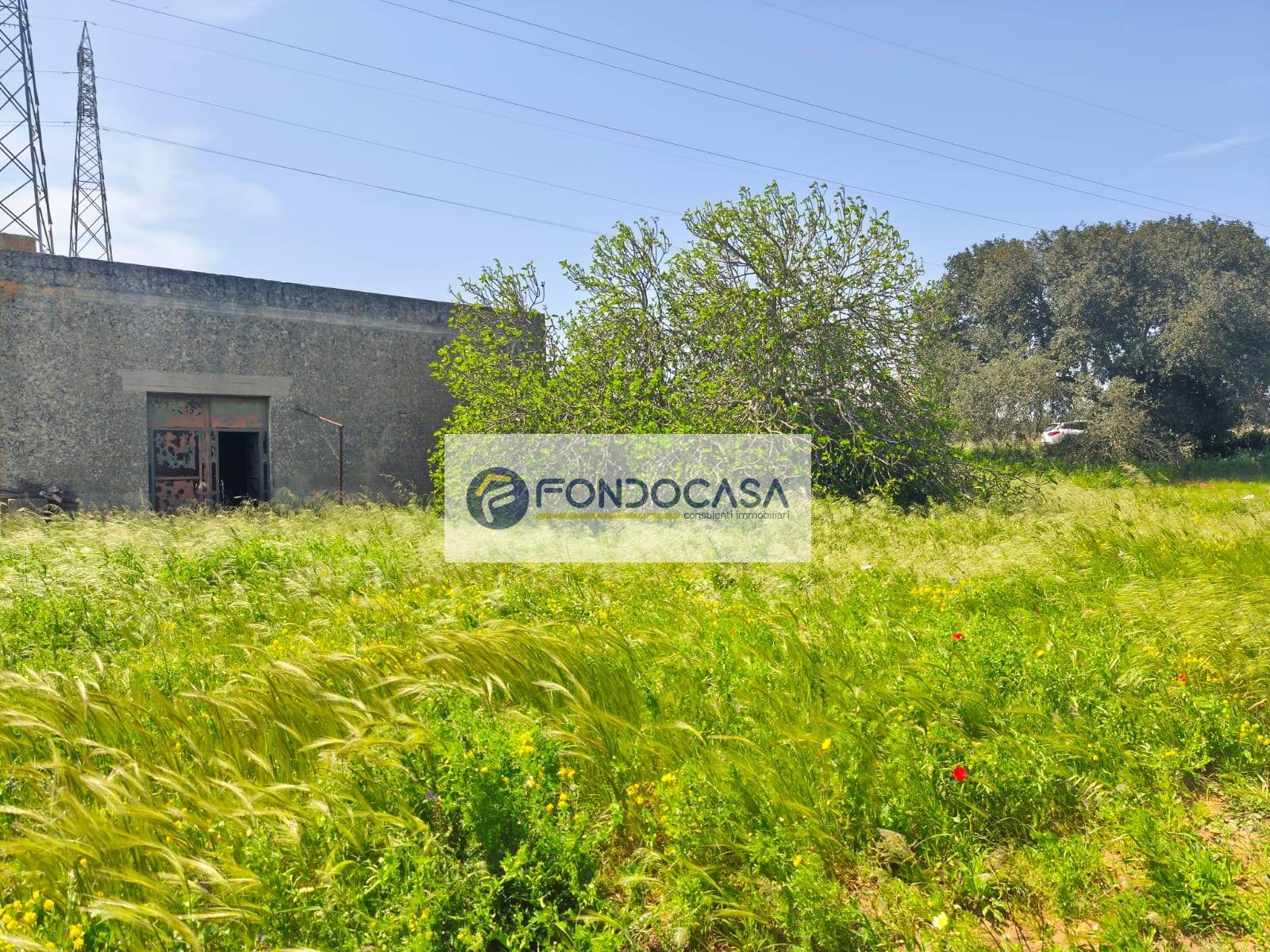 Terreno Agricolo in vendita a Zollino