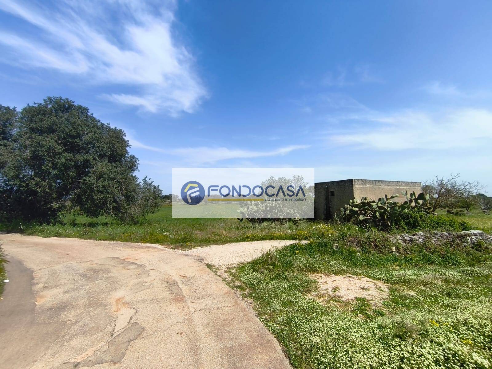 Terreno Agricolo in vendita a Zollino