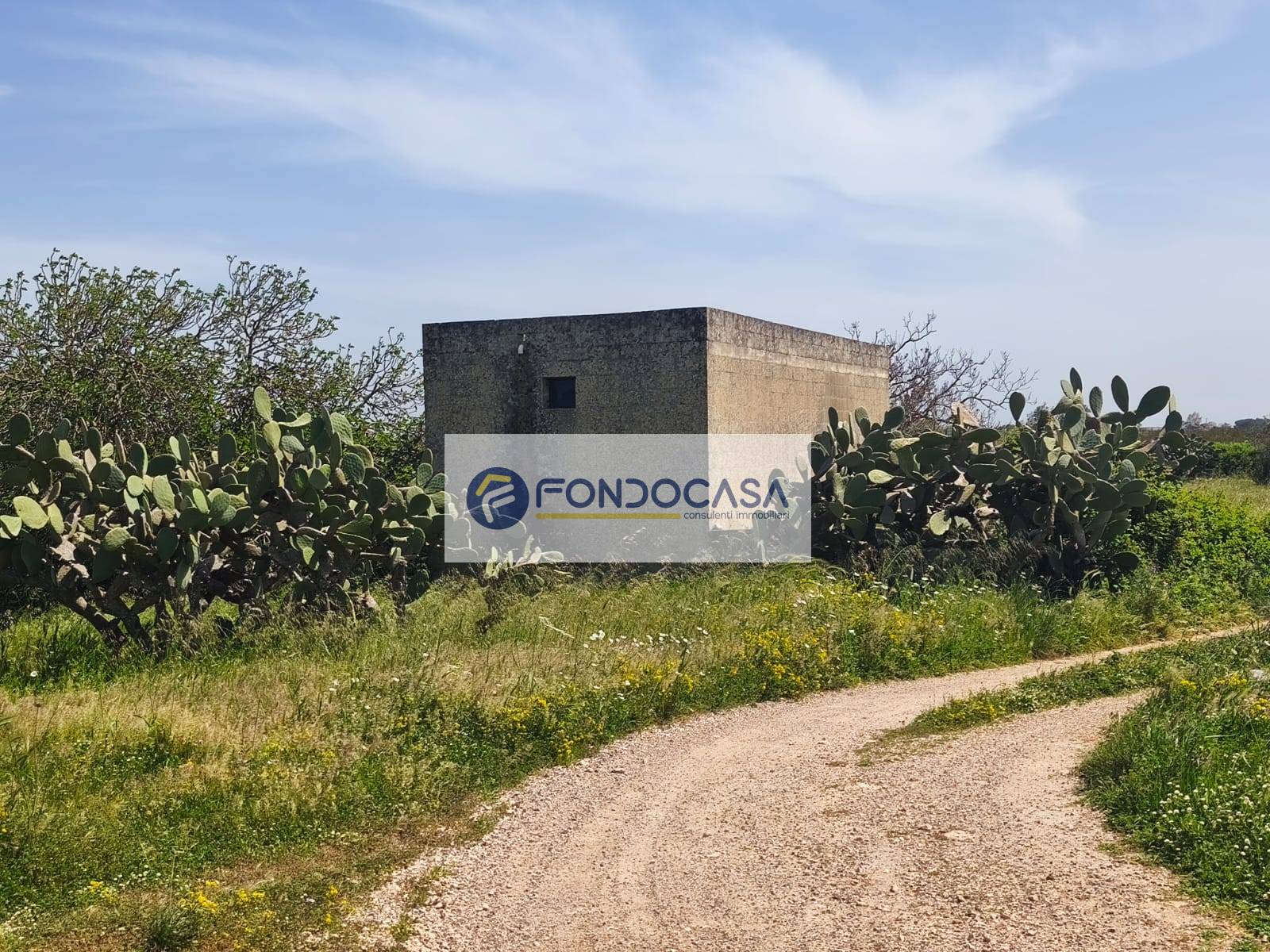 Terreno Agricolo in vendita a Zollino