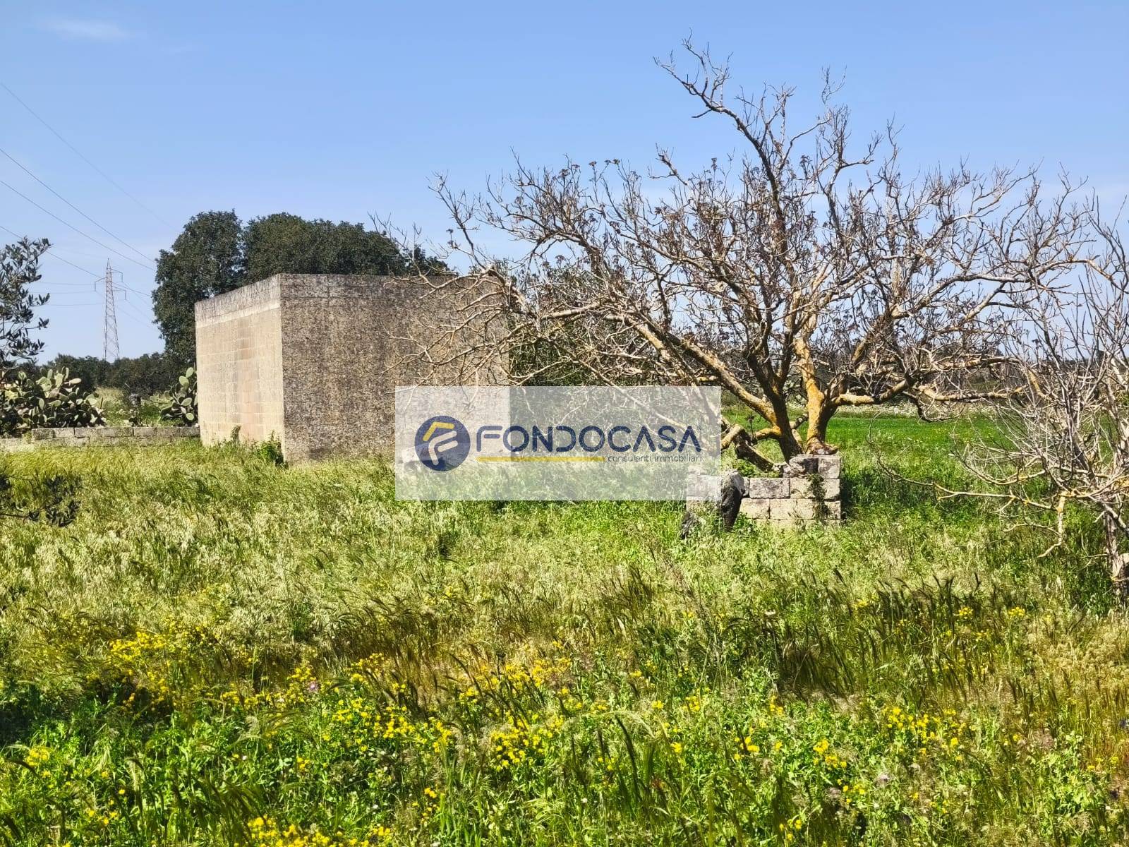 Terreno Agricolo in vendita a Zollino