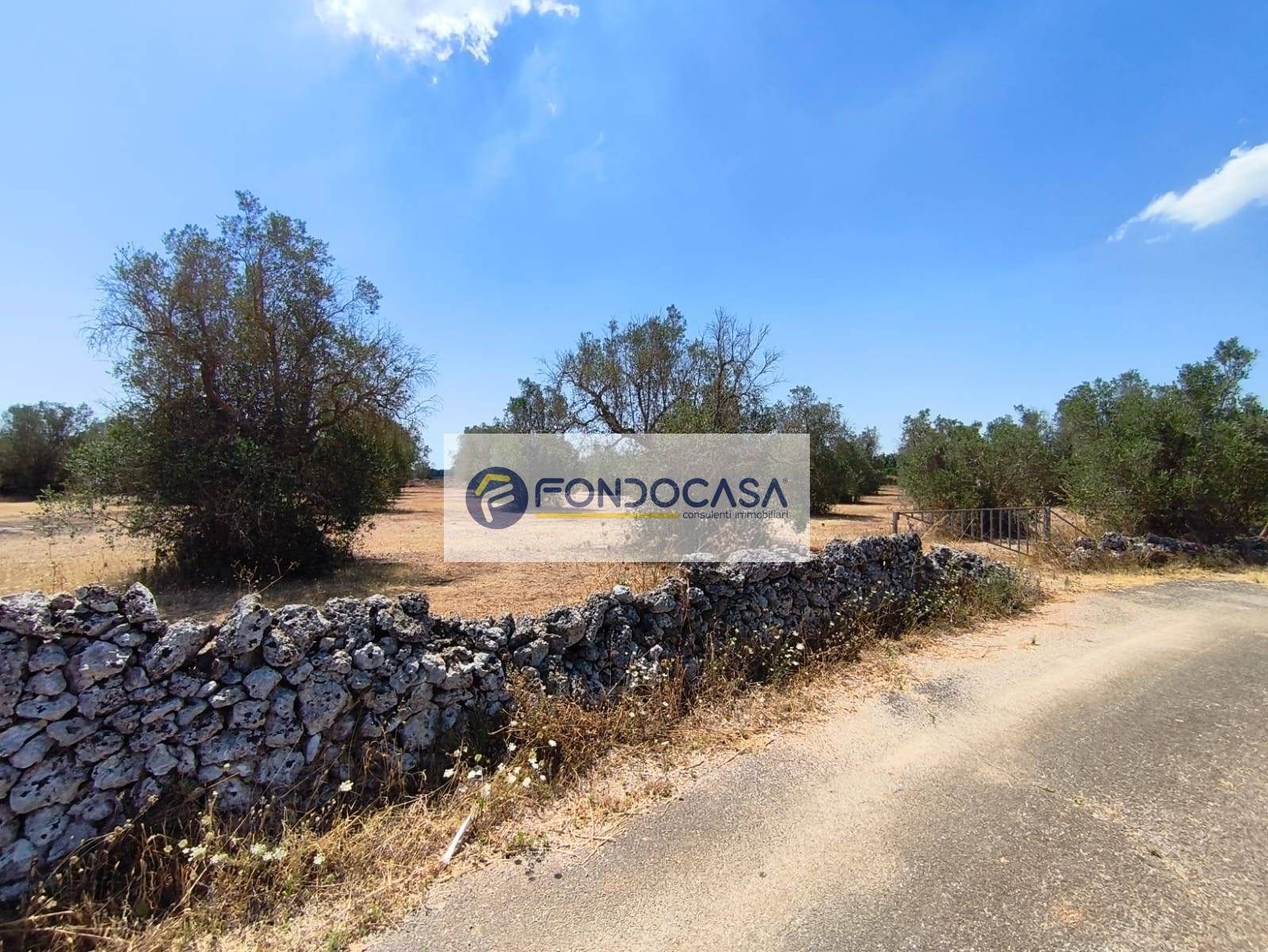 Terreno Agricolo in vendita a Sanarica