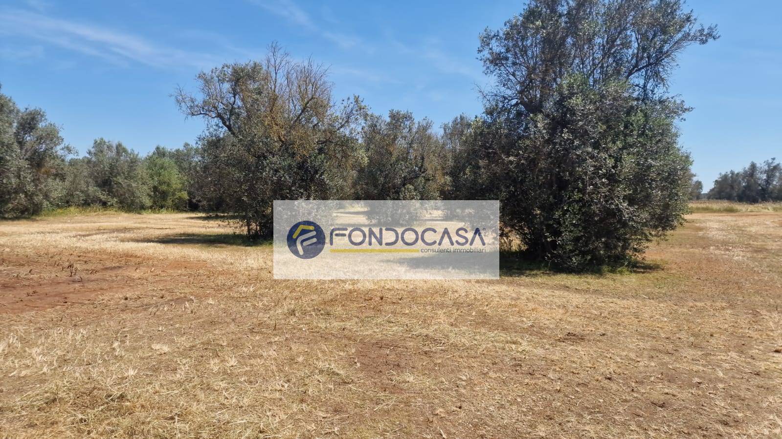 Terreno Agricolo in vendita a Sanarica