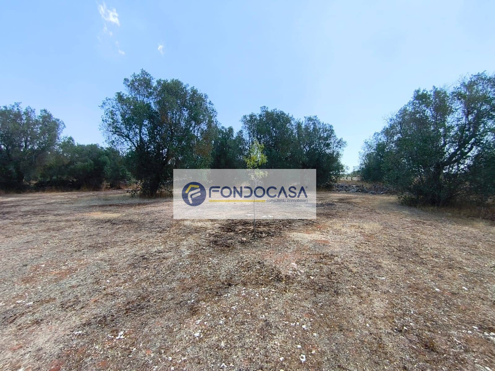 Terreno Agricolo in vendita a Sanarica