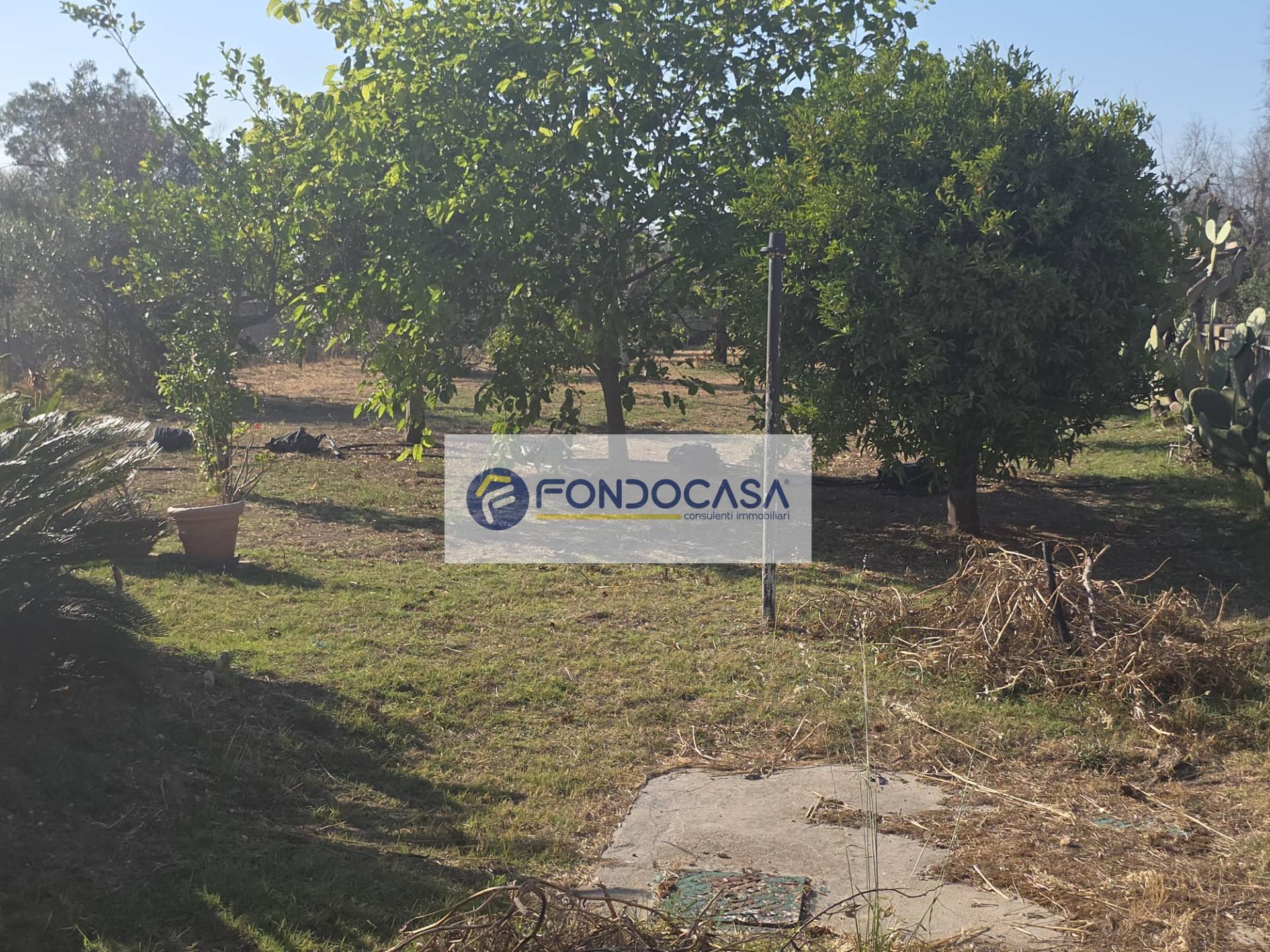 Casa indipendente in vendita a Vernole